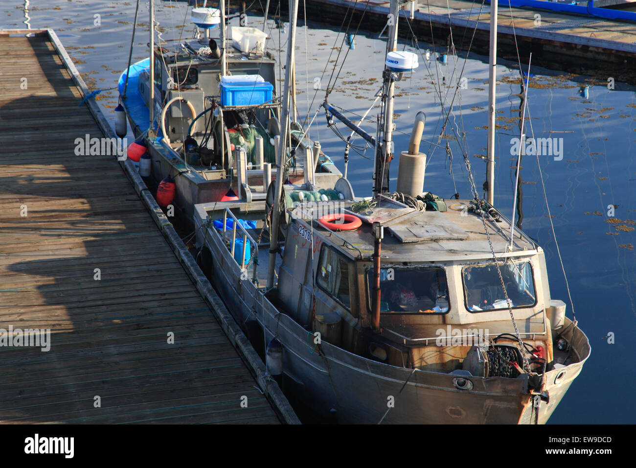 La pêche commerciale au filet maillant attaché au quai, Prince Rupert, BC Banque D'Images