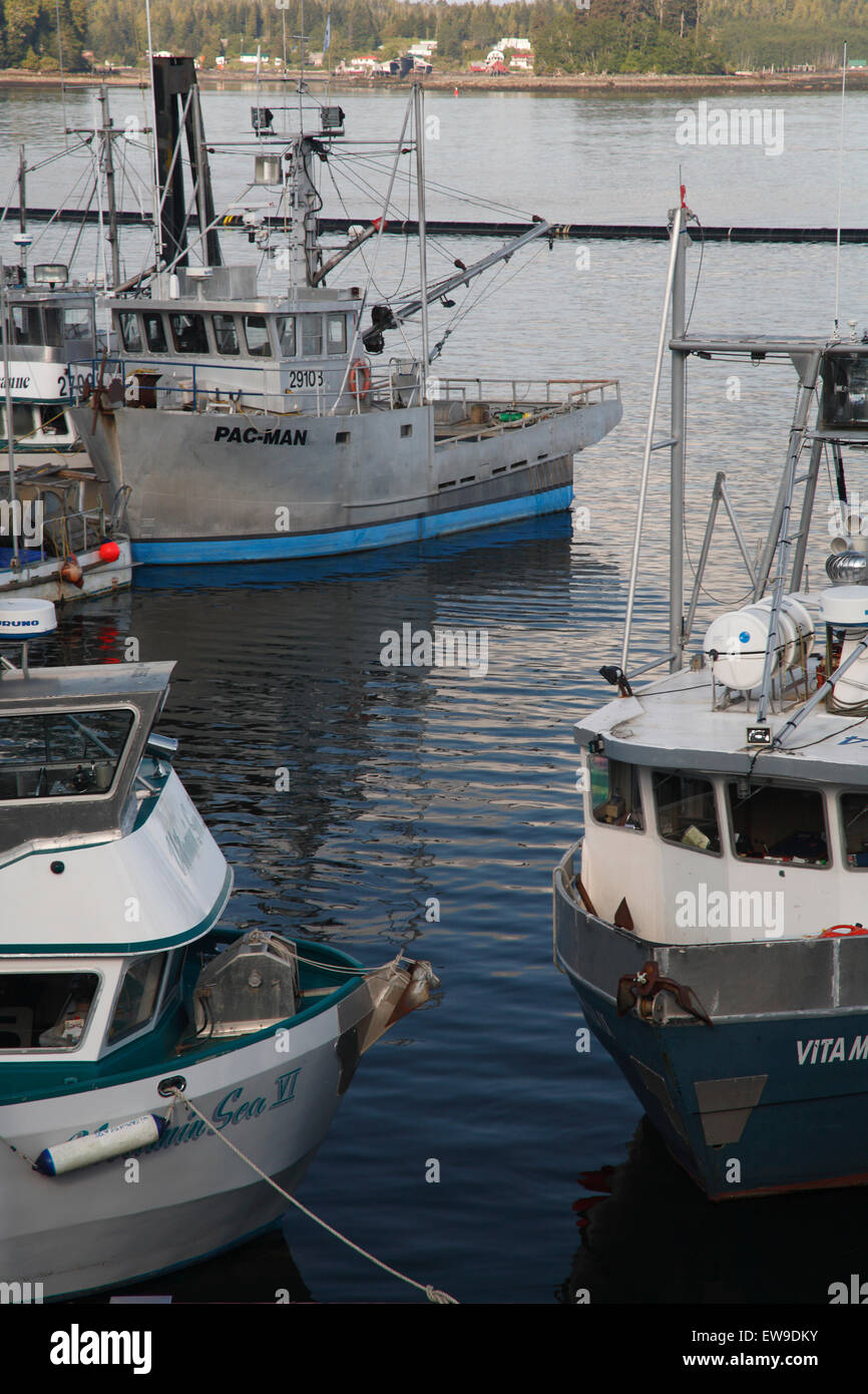 La pêche commerciale seine bateaux amarrés au quai, Prince Rupert, BC Banque D'Images