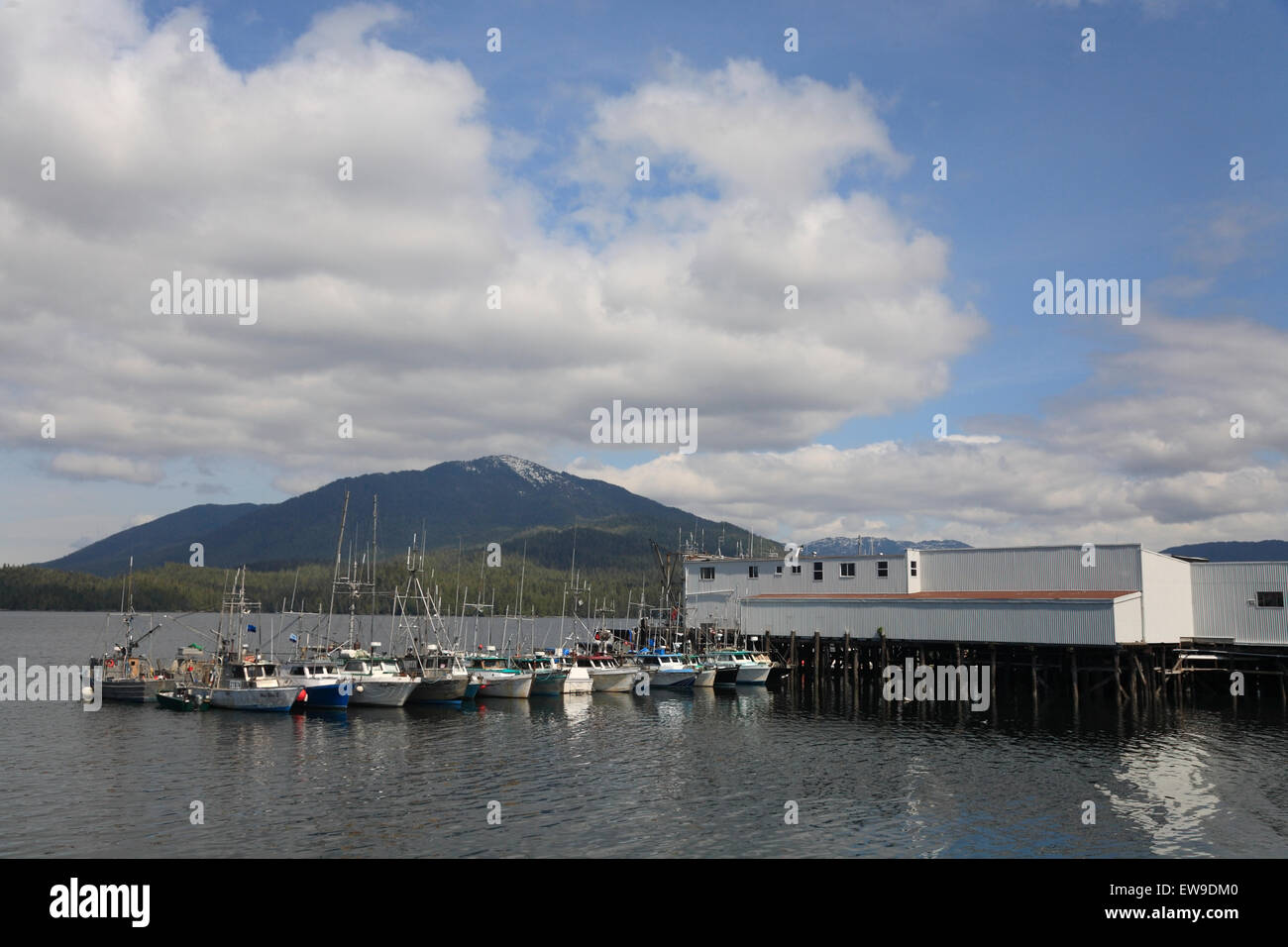 La pêche commerciale au filet maillant bateaux amarrés au quai, Prince Rupert, BC Banque D'Images