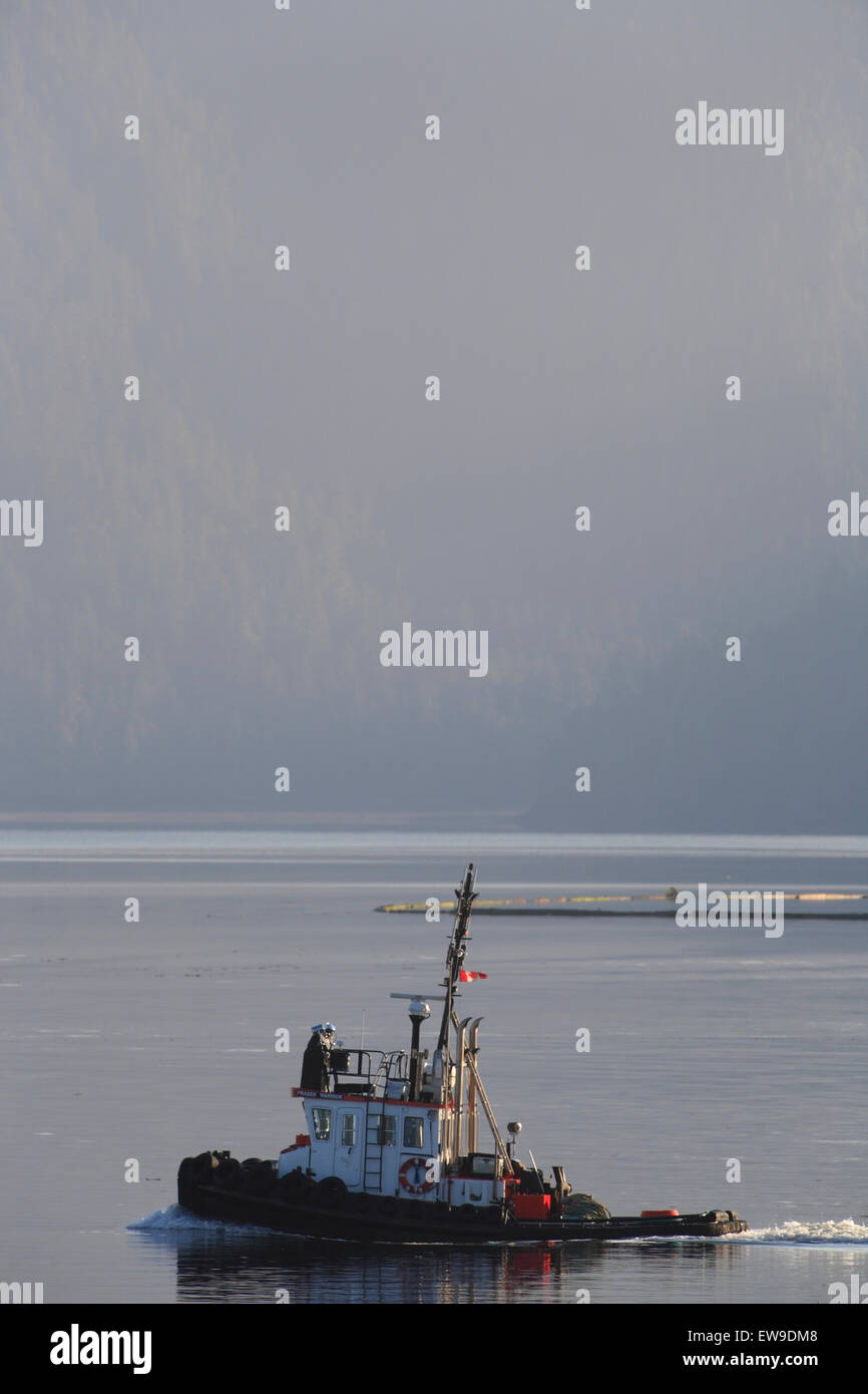 Port de remorqueur, Prince Rupert (Colombie-Britannique) Banque D'Images