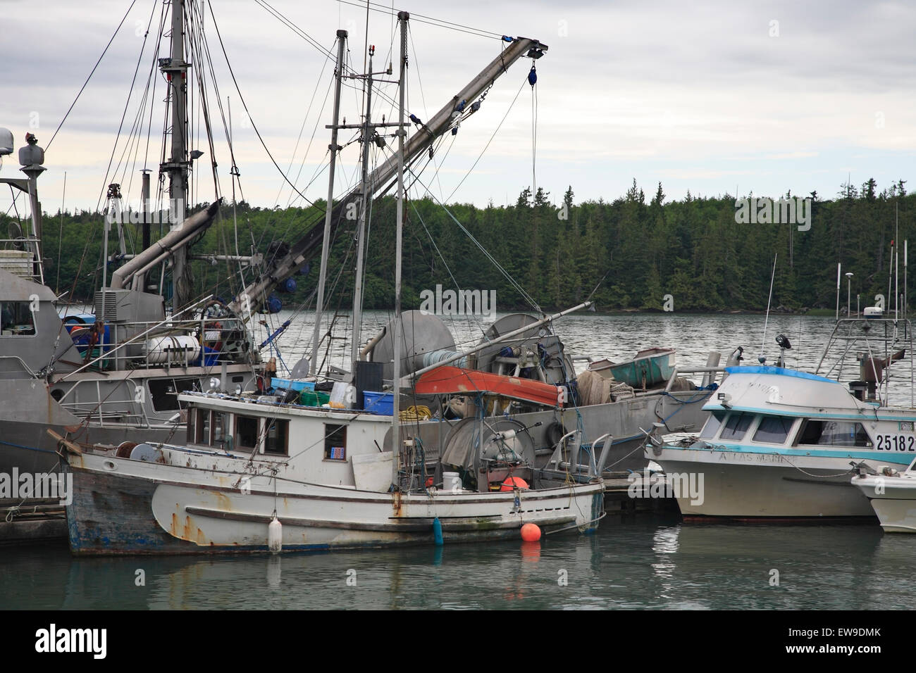 Bateaux de pêche commerciale, les senneurs et les fileyeurs, attaché au quai, Port Edward, Prince Rupert (Colombie-Britannique) Banque D'Images