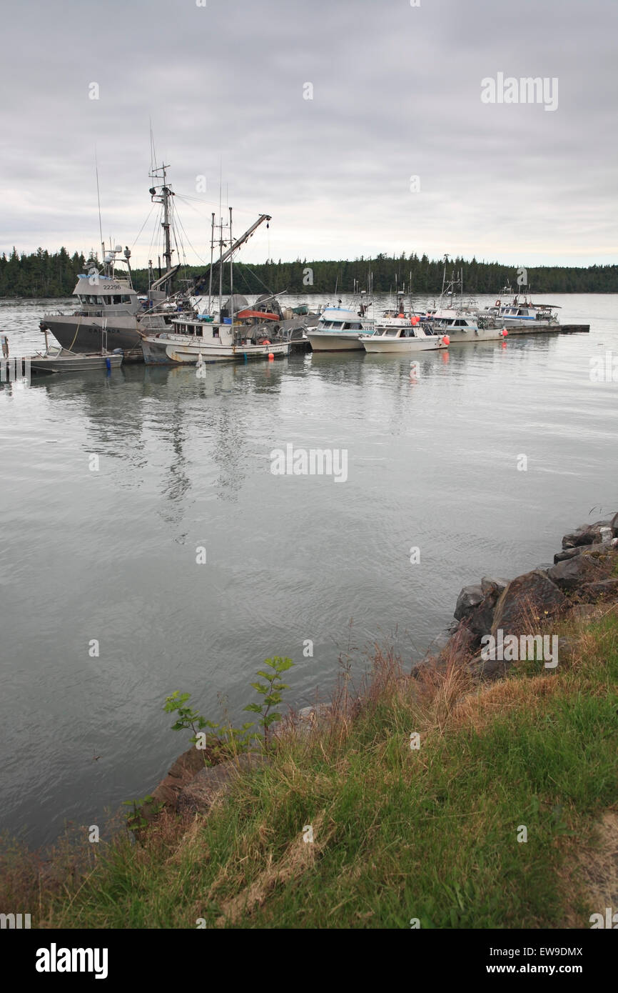 Bateaux de pêche commerciale, les senneurs et les fileyeurs, attaché au quai, Port Edward, Prince Rupert (Colombie-Britannique) Banque D'Images
