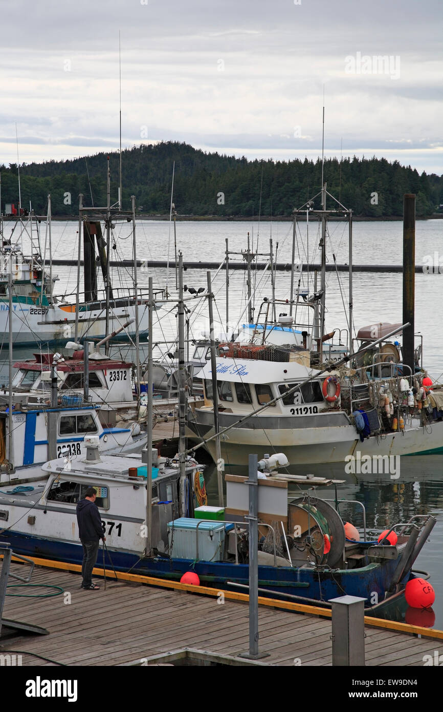 Bateaux de pêche commerciale au quai, Prince Rupert (Columiba Banque D'Images