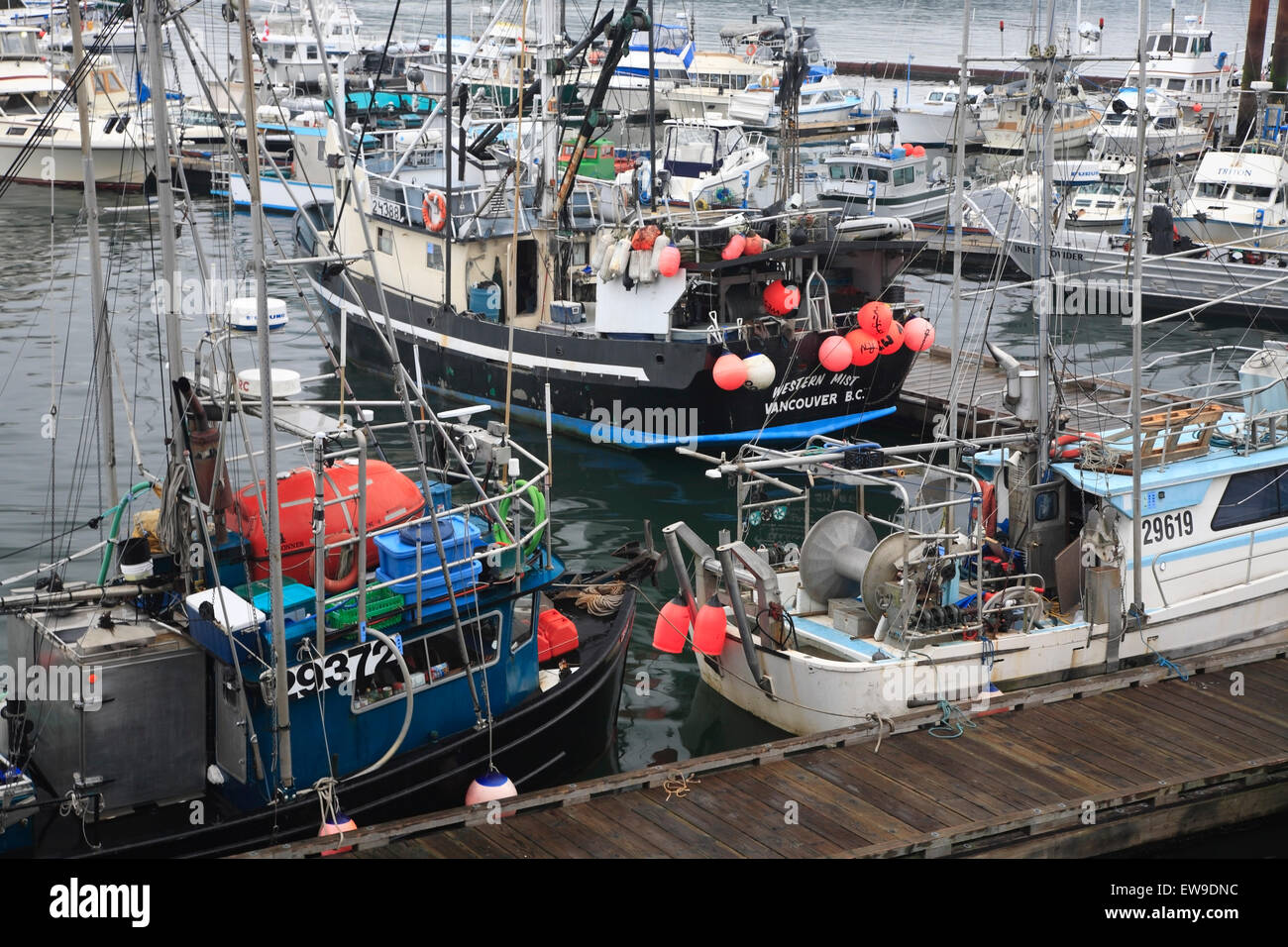 Bateaux de pêche commerciale au quai, Prince Rupert (Columiba Banque D'Images