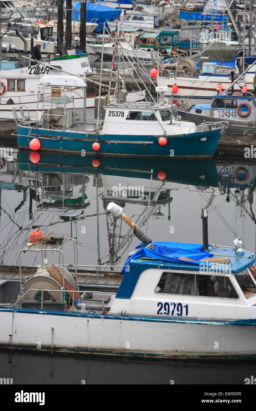 Bateaux de pêche commerciale au quai, Prince Rupert (Columiba Banque D'Images