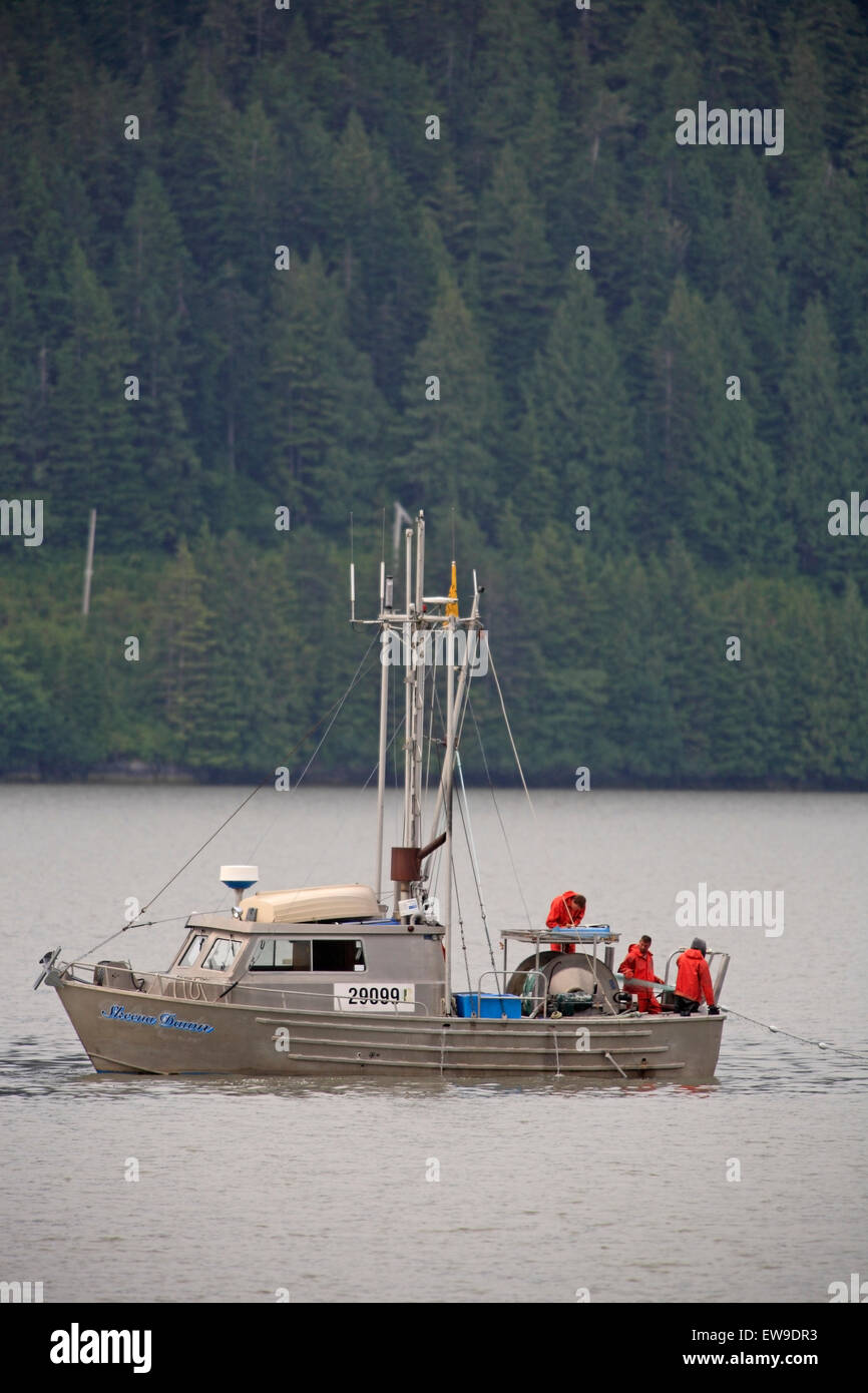 L'essai de pêche au filet maillant Tyee opérant sur le cours inférieur de la rivière Skeena, près de Prince Rupert, BC Banque D'Images