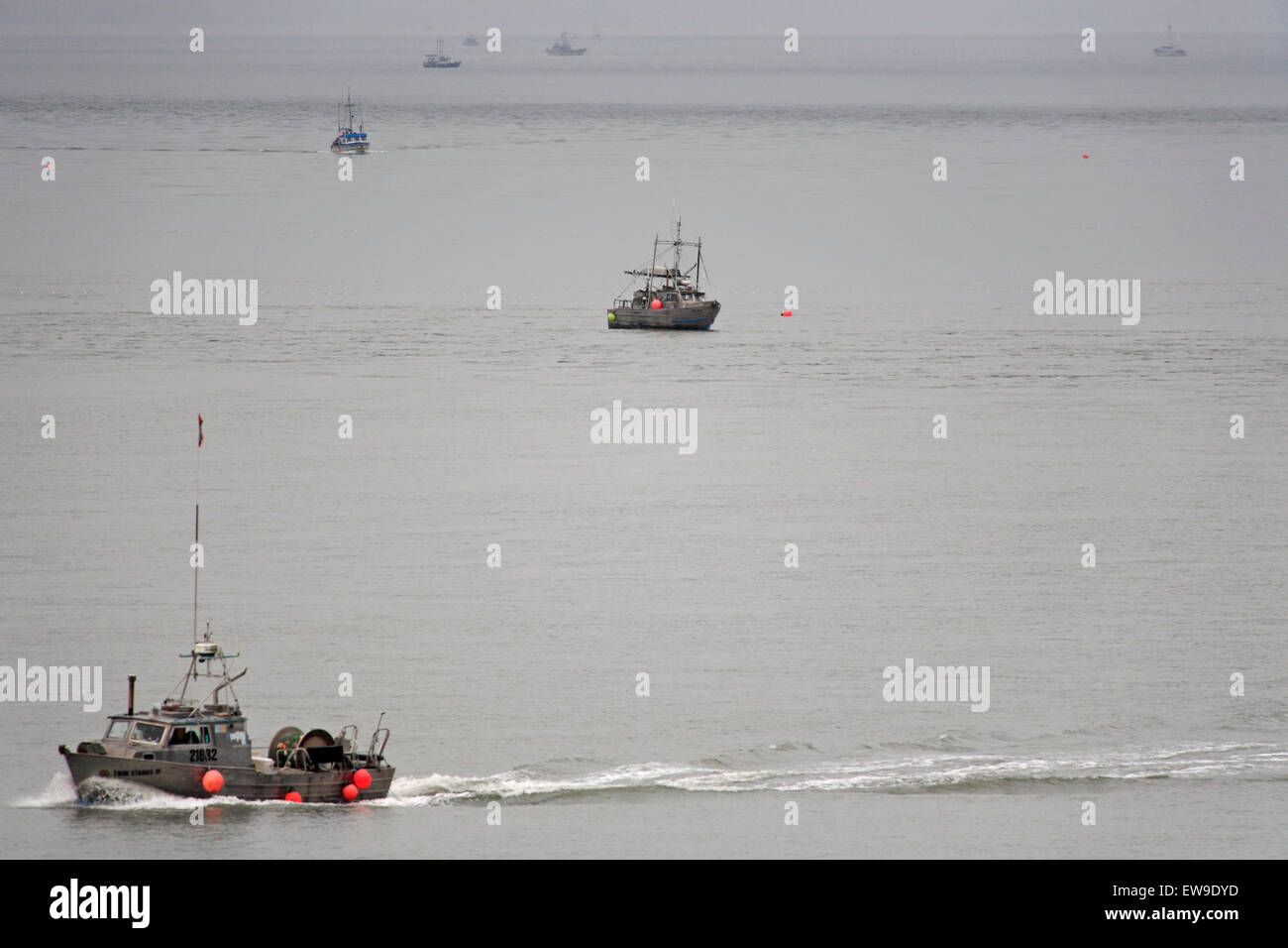 Les fileyeurs participant à une ouverture commerciale du saumon à Chatham Sound, près de Port Edward, C.-B. Banque D'Images