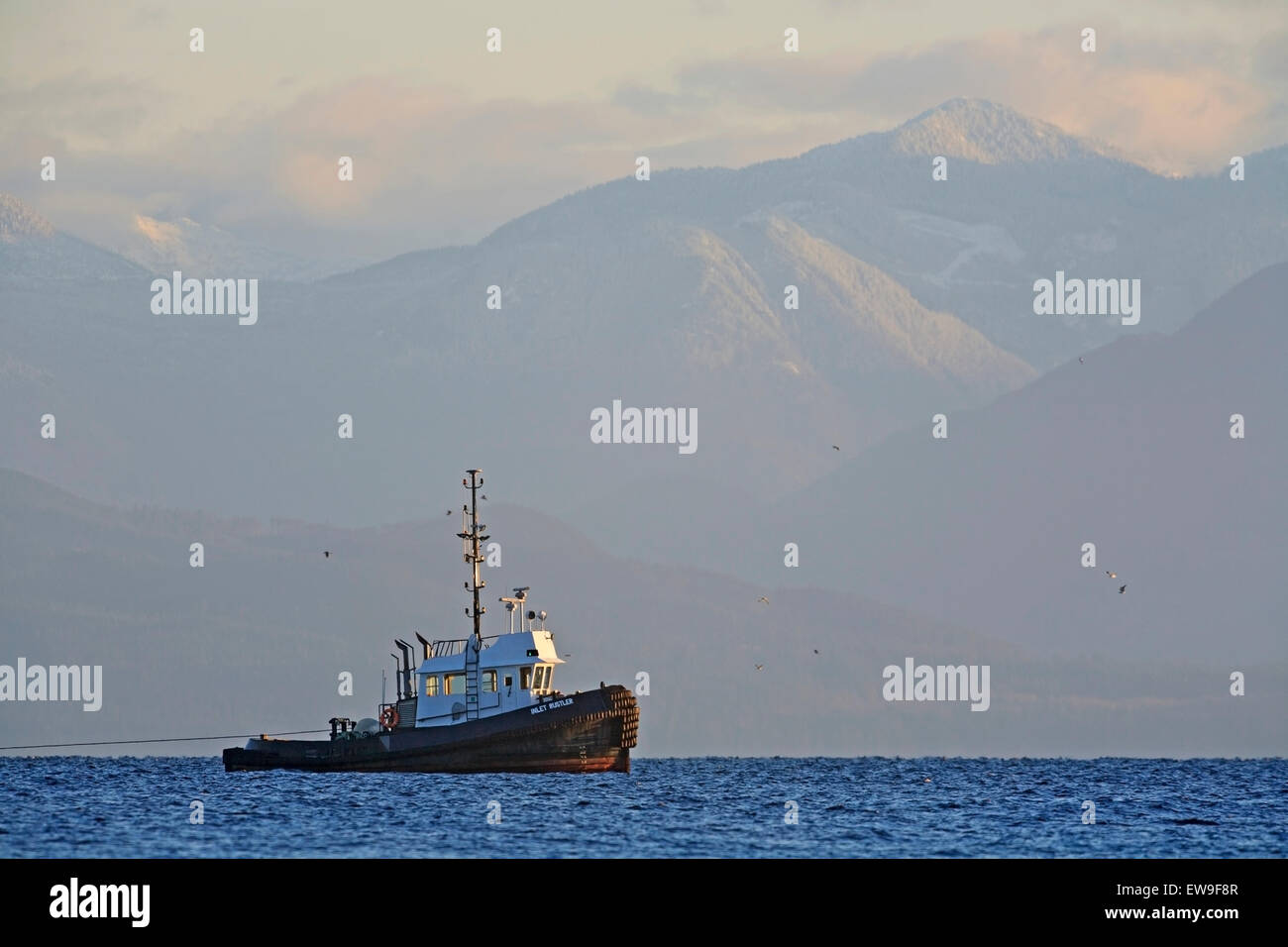 Journal de remorqueur tirant boom dans le détroit de Géorgie au nord de Nanaimo, C.-B. Banque D'Images