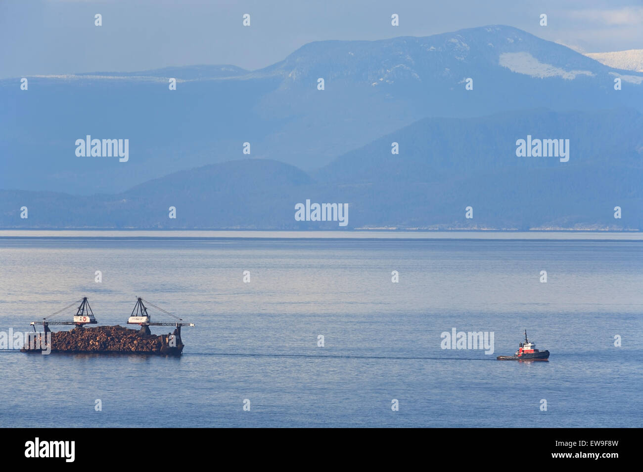 Auto remorquage Remorqueur Chaland journal dumping dans le détroit de Géorgie, près de Nanaimo, île de Vancouver Banque D'Images