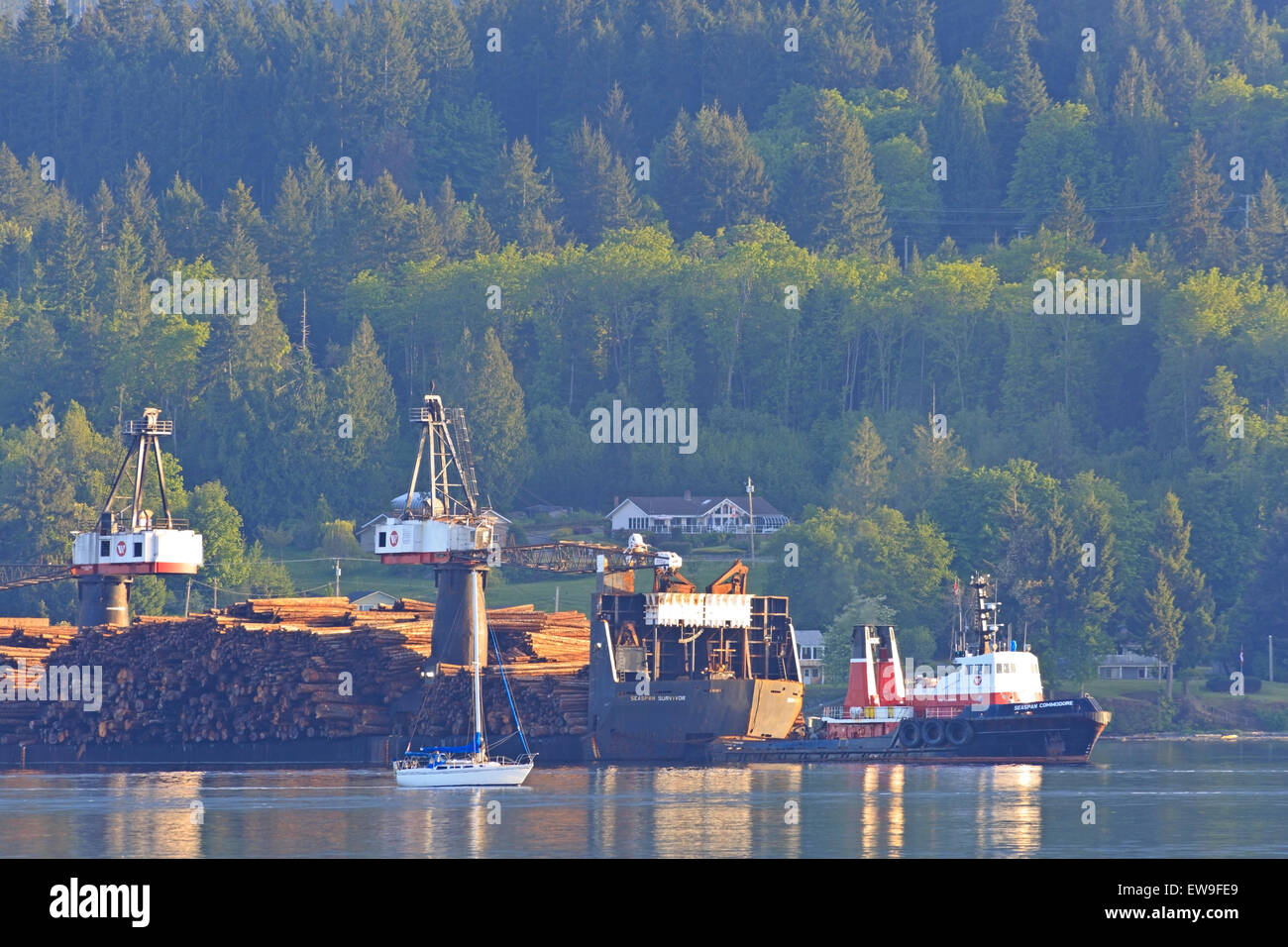 Easpan "Survivor", un dumping/chargement log barge avec son corollaire le easpan remorqueur "Commodore" s'apprête à vider un Banque D'Images