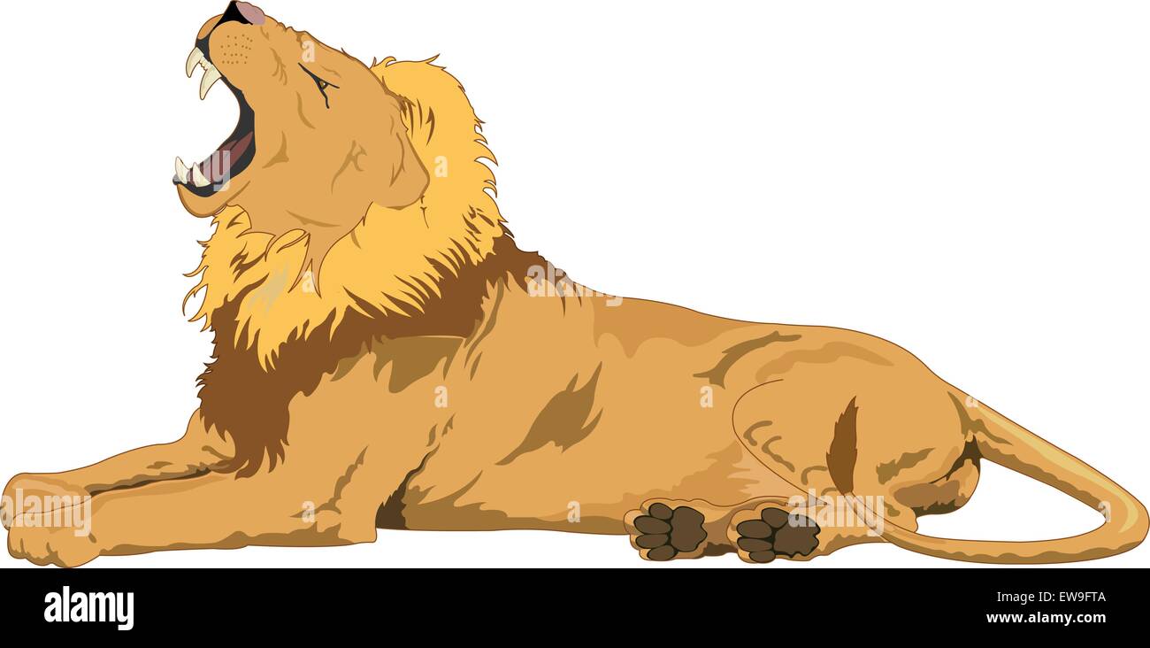 Lion, homme, bâillements, vector illustration Illustration de Vecteur