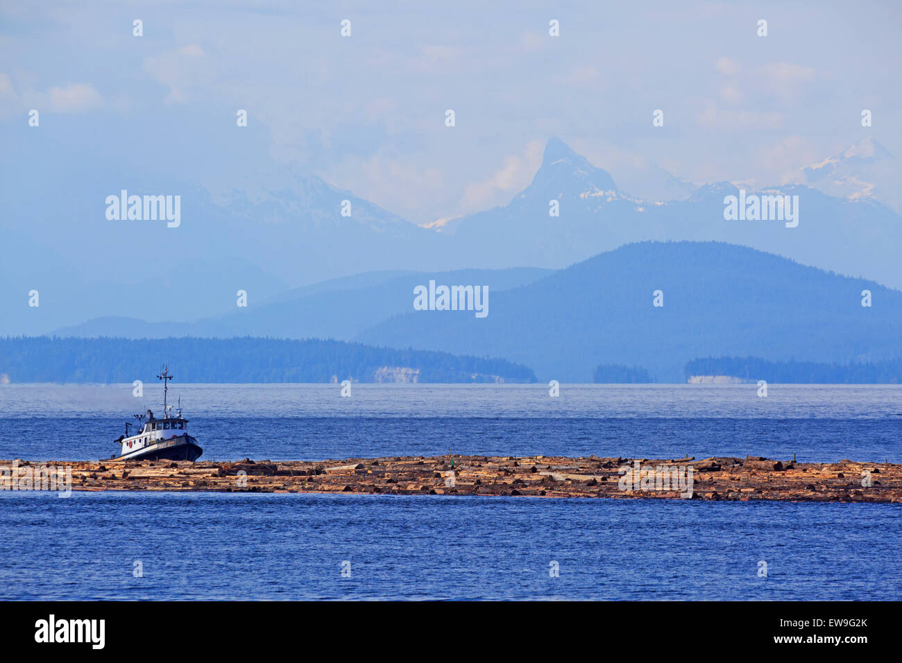 Tugboat pushing log boom dans le détroit de Géorgie, au nord de Nanaimo, île de Vancouver, Colombie-Britannique Banque D'Images