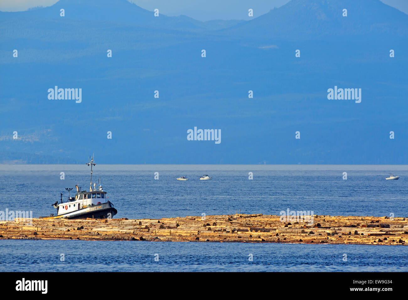 Tugboat pushing log boom dans le détroit de Géorgie, juste au nord de Nanaimo (Colombie-Britannique) Banque D'Images