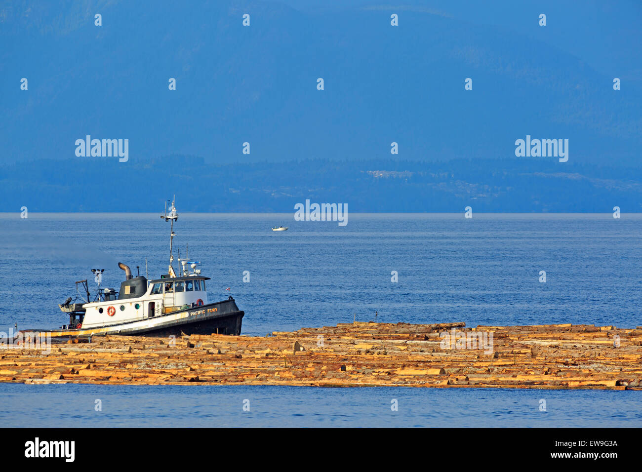 Tugboat pushing log boom dans le détroit de Géorgie, juste au nord de Nanaimo (Colombie-Britannique) Banque D'Images