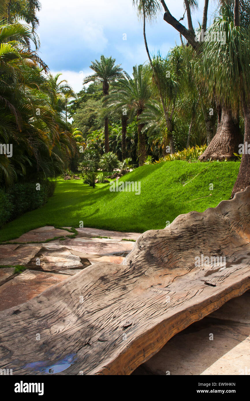 Inhotim, Art contemporain, jardins botaniques, Brumhadinho, Minas Gerais, Brésil, vue d'un chemin de jardin, jungle, connectez-vous Banque D'Images