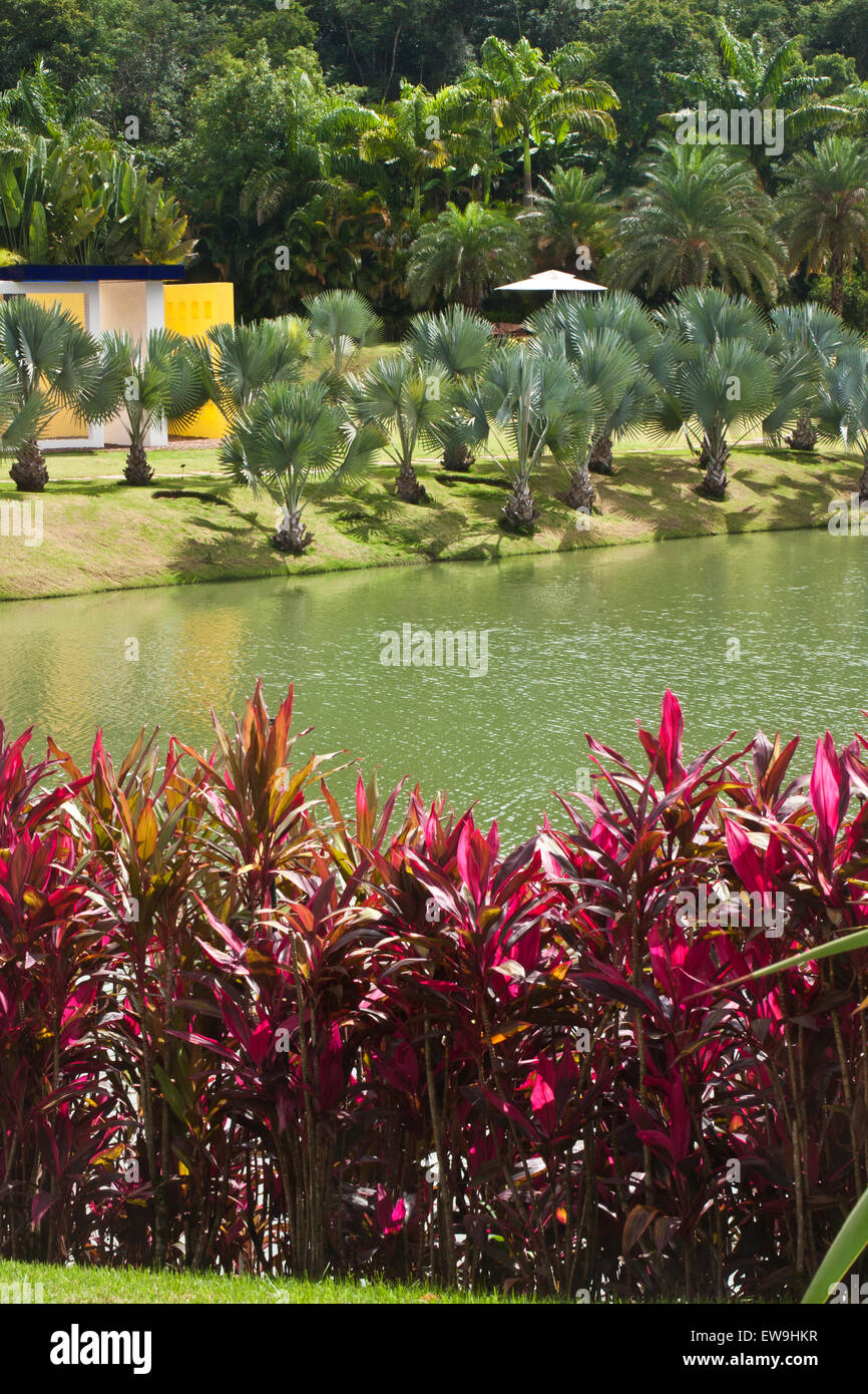 Inhotim, Art contemporain, jardins botaniques, Brumhadinho, Minas Gerais, Brésil, jardin chemin vers le travail artiste Helio Oitici Banque D'Images