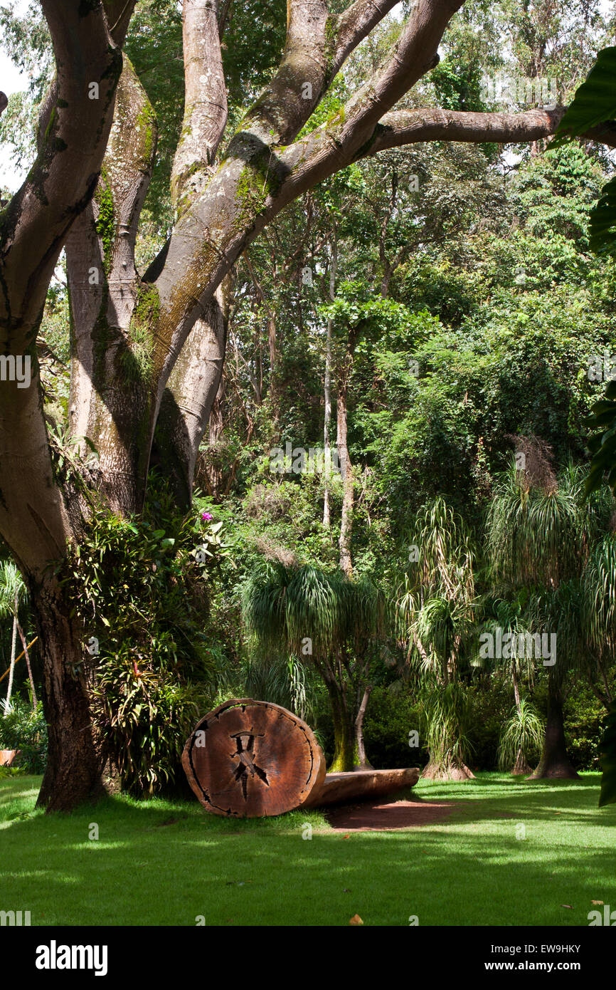 Inhotim, Art contemporain, jardins botaniques, Brumhadinho, Minas Gerais, Brésil, un banc sculpté log sous les arbres tropicaux Banque D'Images