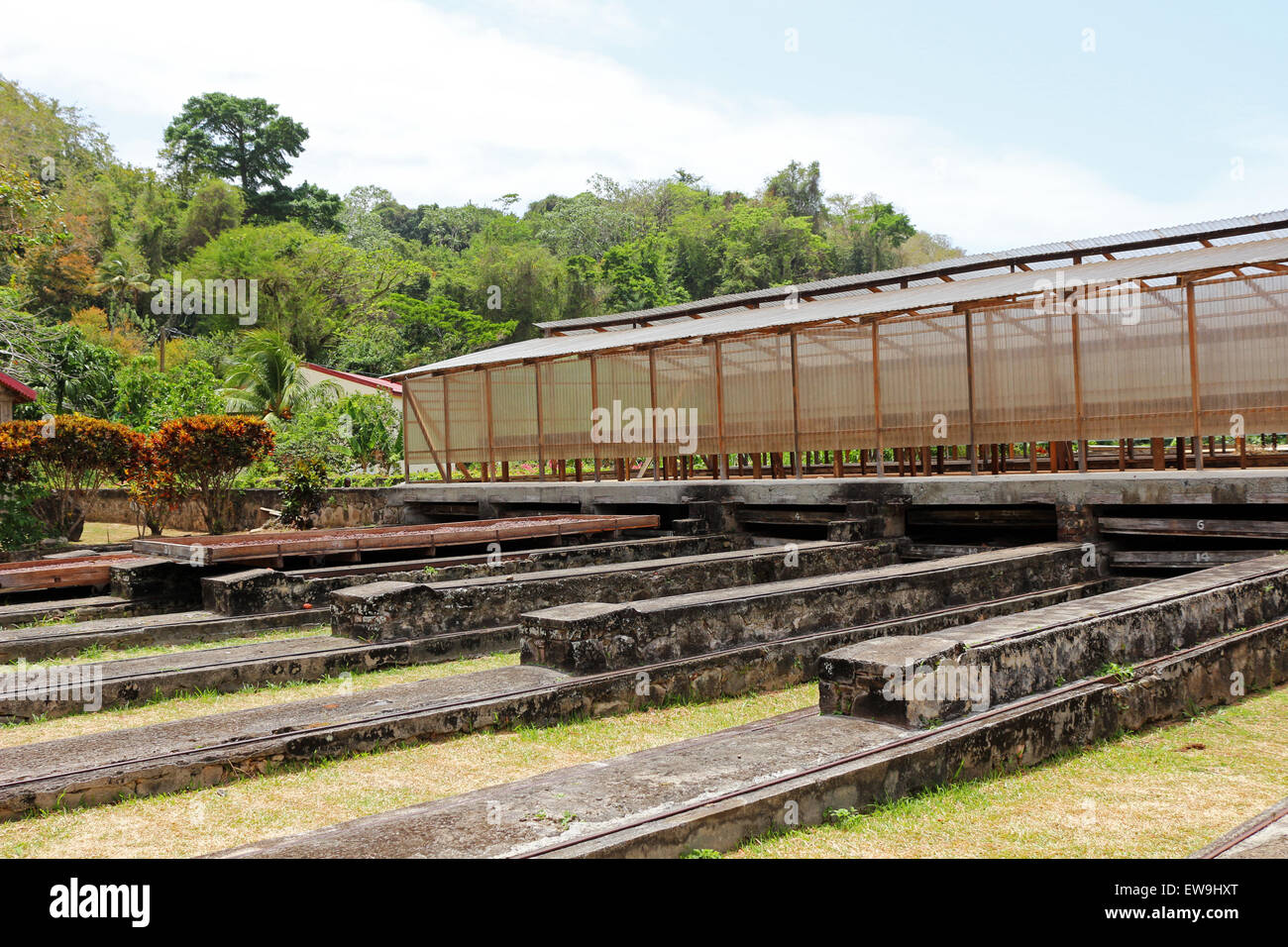 Bâtiments de plantation de cacao à la Grenade Banque D'Images