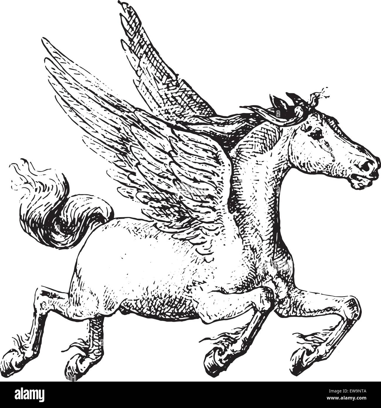 Pegasus, vintage engraved illustration. Dictionnaire des mots et des choses - Larive et Fleury - 1895. Illustration de Vecteur