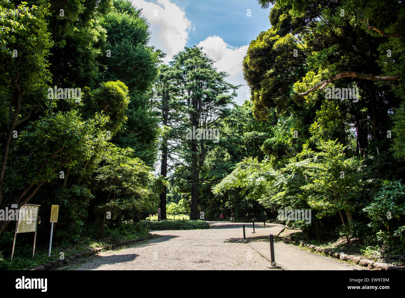 Komaba park,Tokyo,Japon,Meguro-Ku Banque D'Images