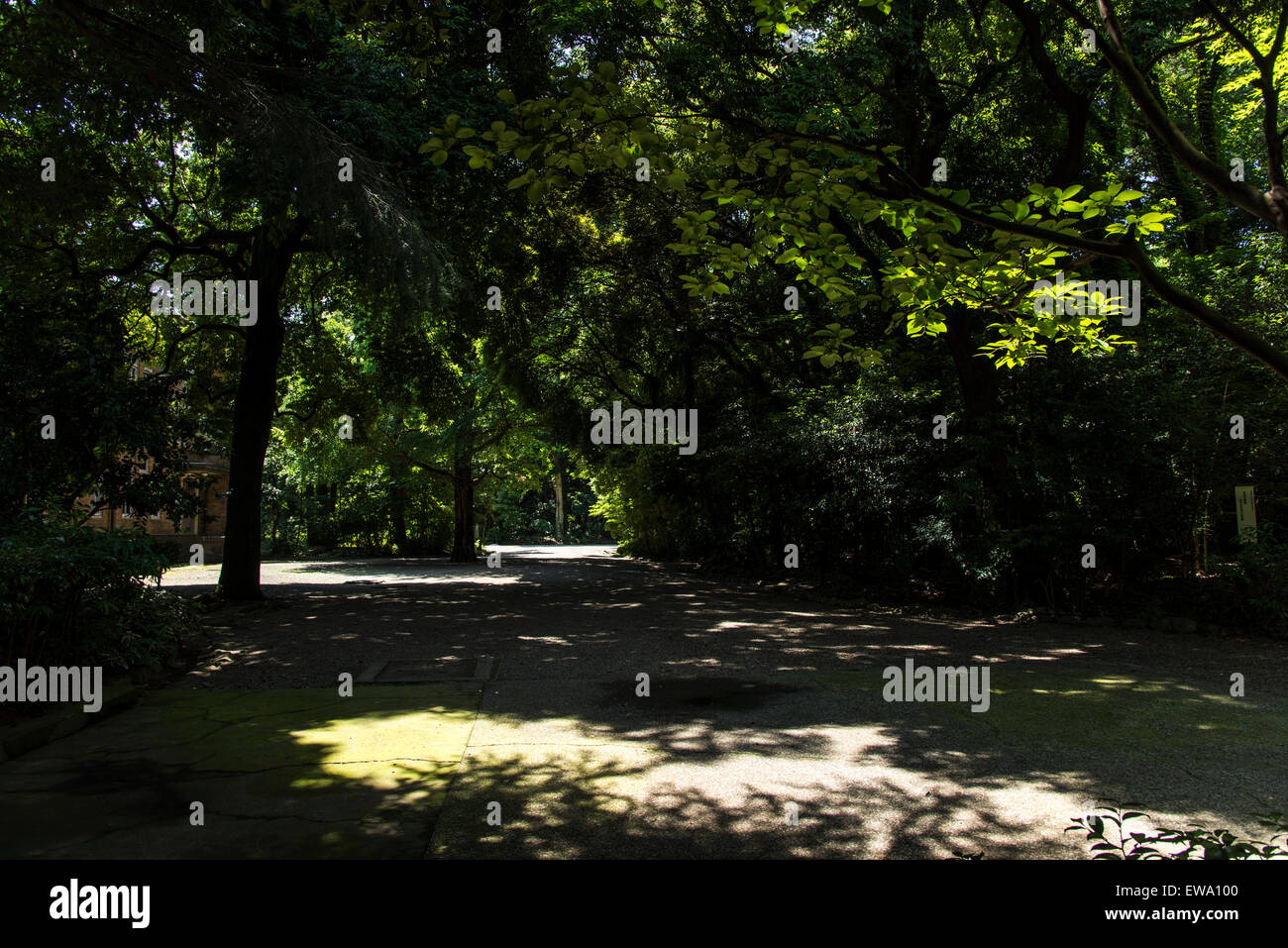 Komaba park,Tokyo,Japon,Meguro-Ku Banque D'Images