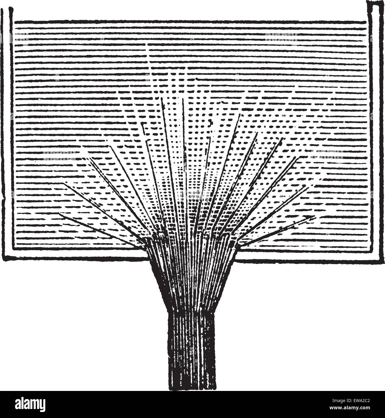 Vena contracta Banque de photographies et d’images à haute résolution
