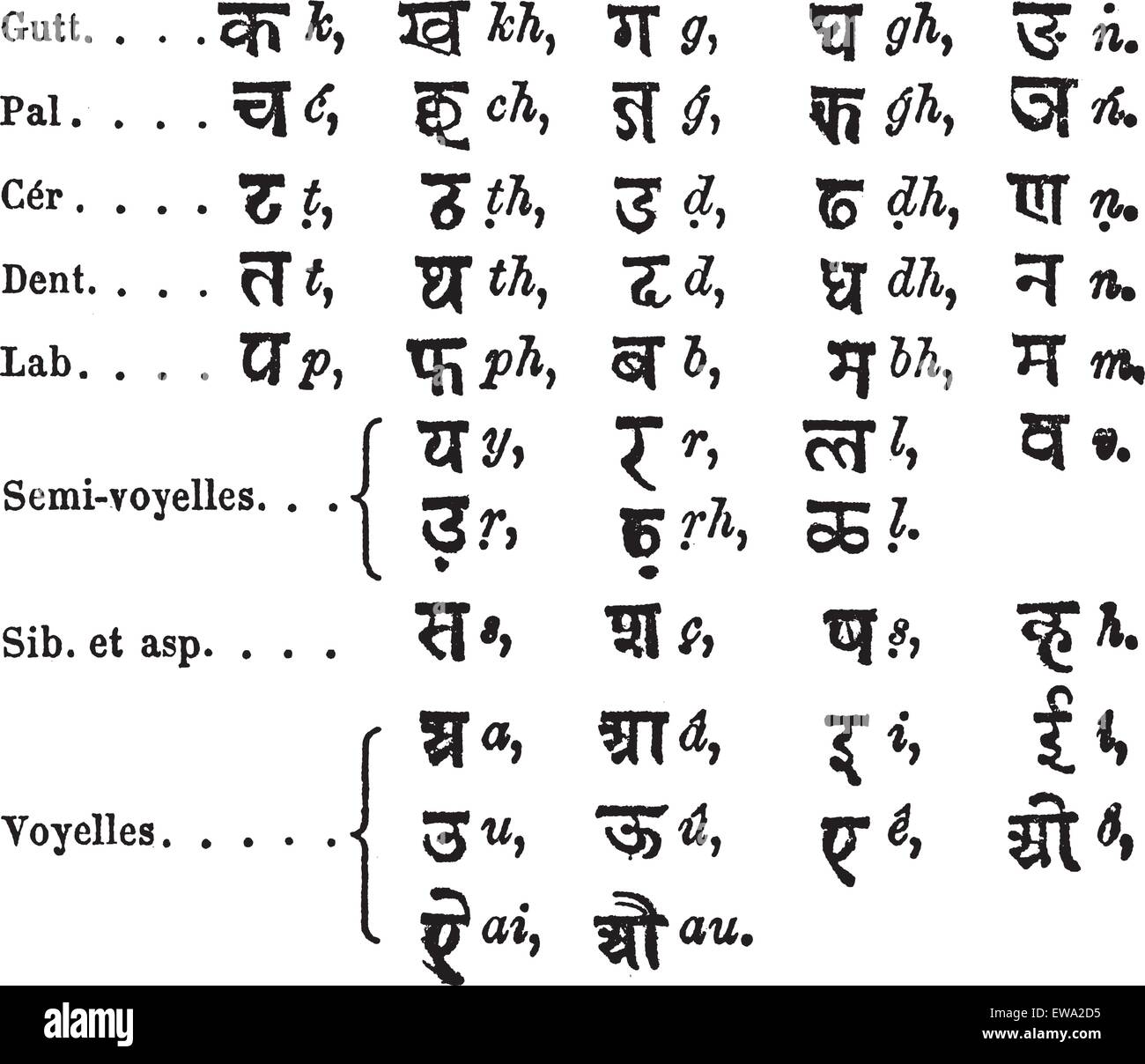 Alphabet Standard par Lepsius, gravure d'époque. Vieille illustration gravée de l'Alphabet Standard par Lepsius. Illustration de Vecteur