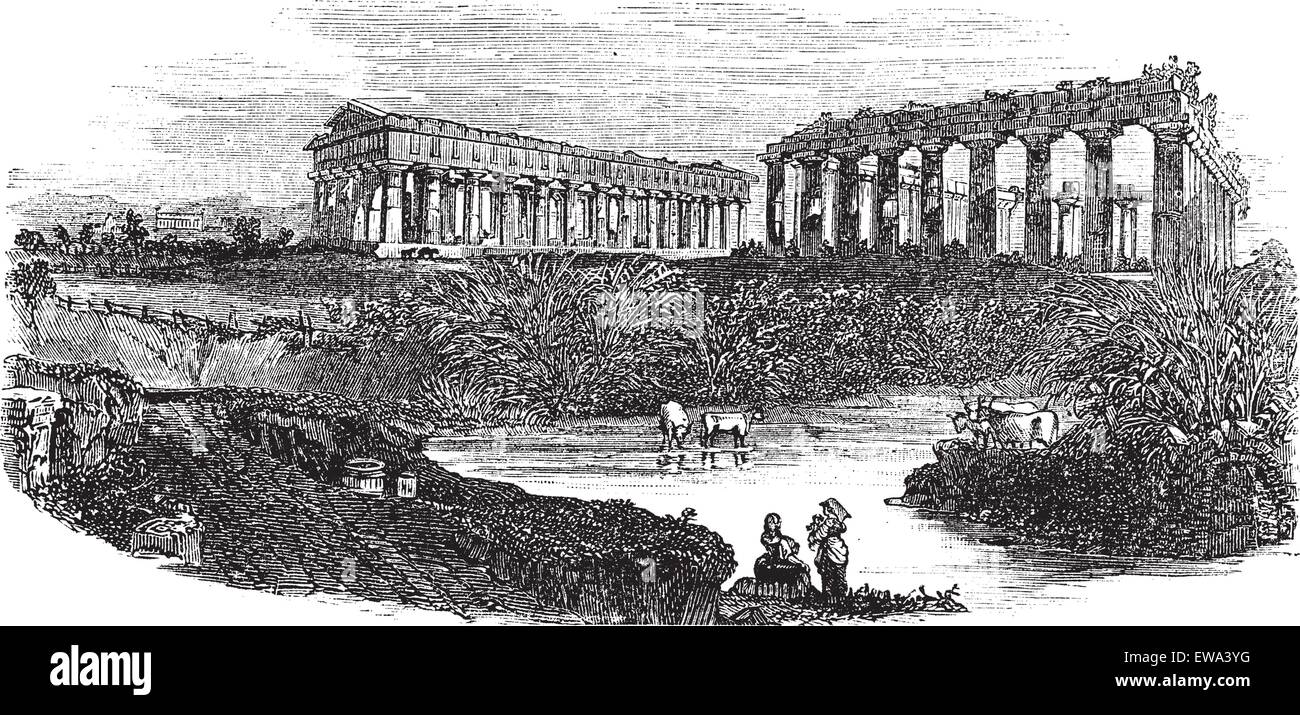 Les ruines de temples de Paestum en Campanie, Italie, durant les années 1890, gravure d'époque. Vieille illustration gravée des ruines Illustration de Vecteur