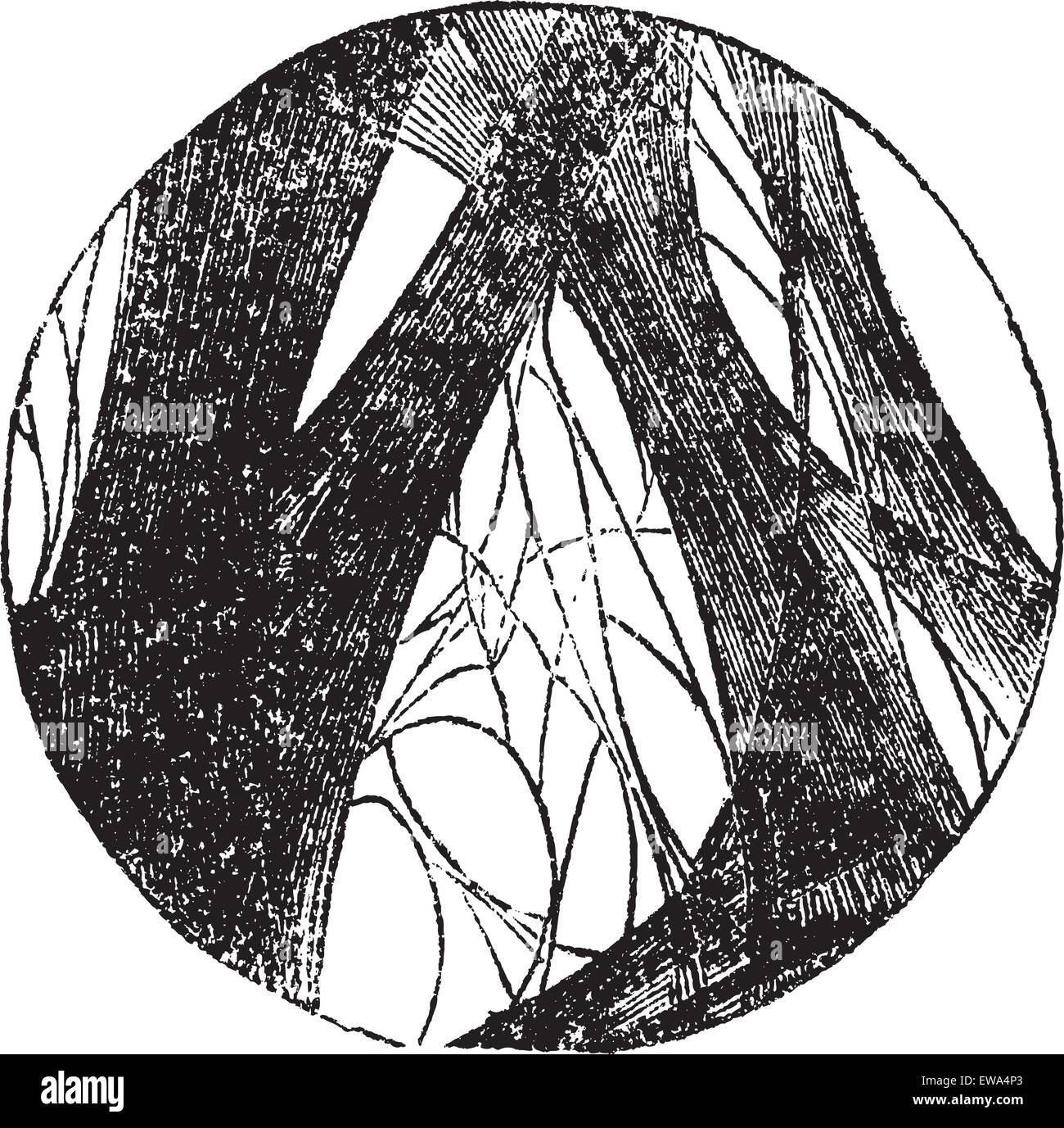 La fibrine coagulée, gravure d'époque. Vieille illustration gravée de la fibrine coagulée. Illustration de Vecteur