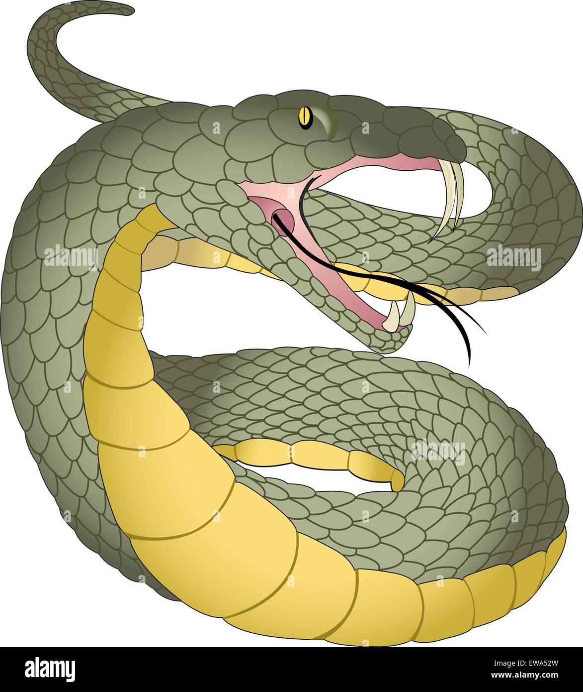 Snake, vert et jaune, crocs, langue fourchue, vector illustration Illustration de Vecteur