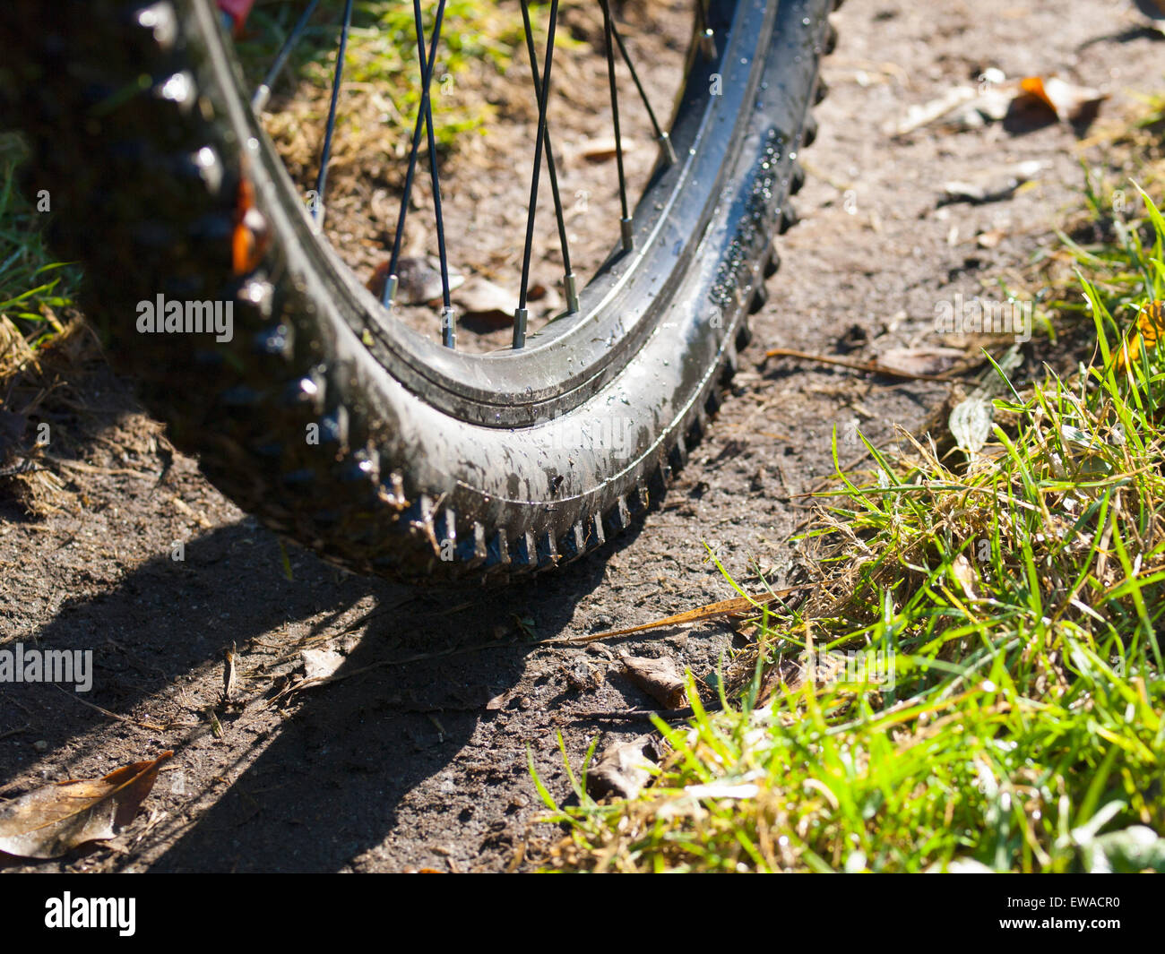 Détail de la roue de vélo de montagne dans la nature Banque D'Images