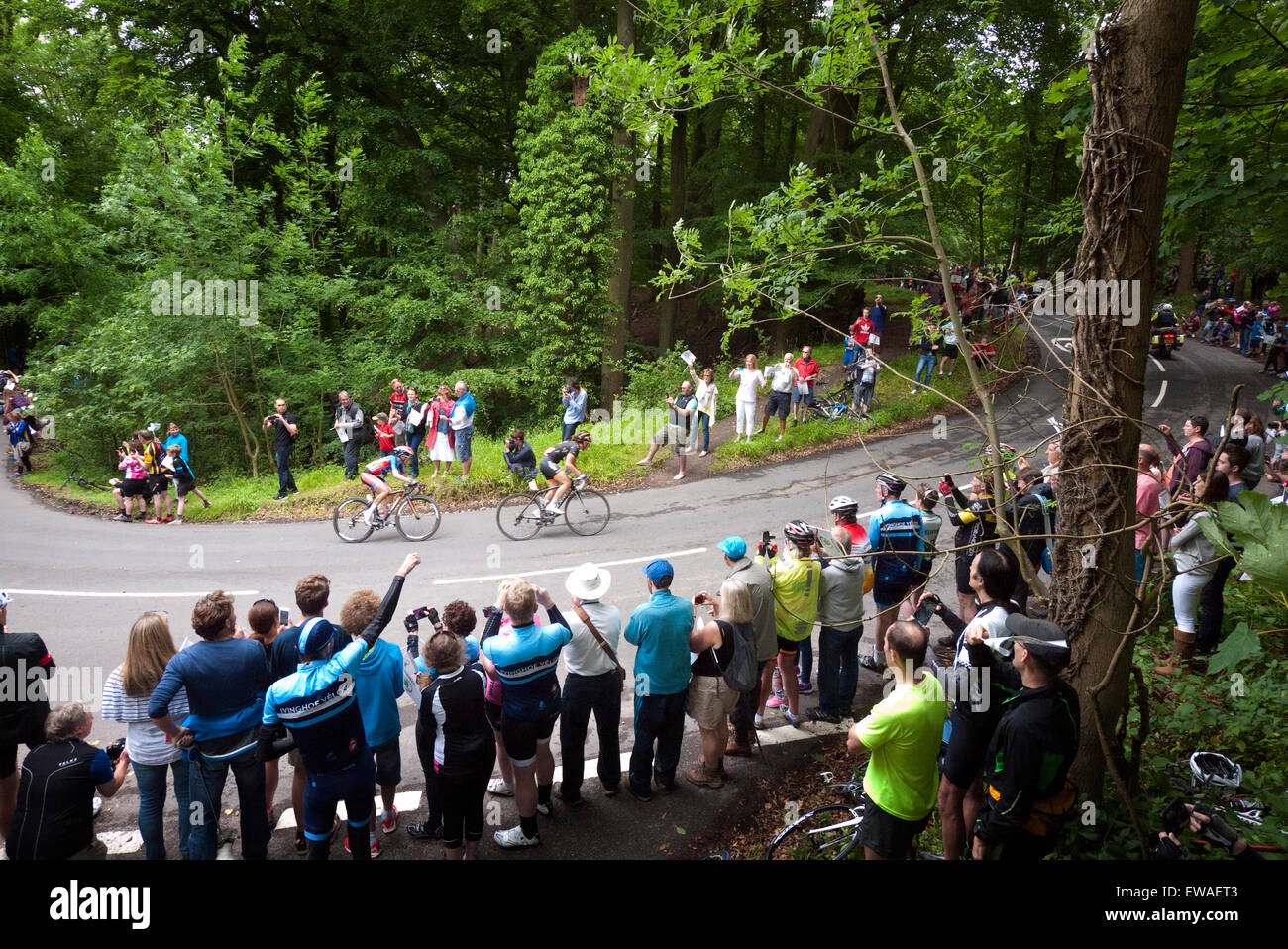 Aviva Women's Tour of Britain 2015 escalade Tom's Hill, Little Gaddesden, Hertfordshire, Royaume-Uni. Vu par une foule enthousiaste Banque D'Images