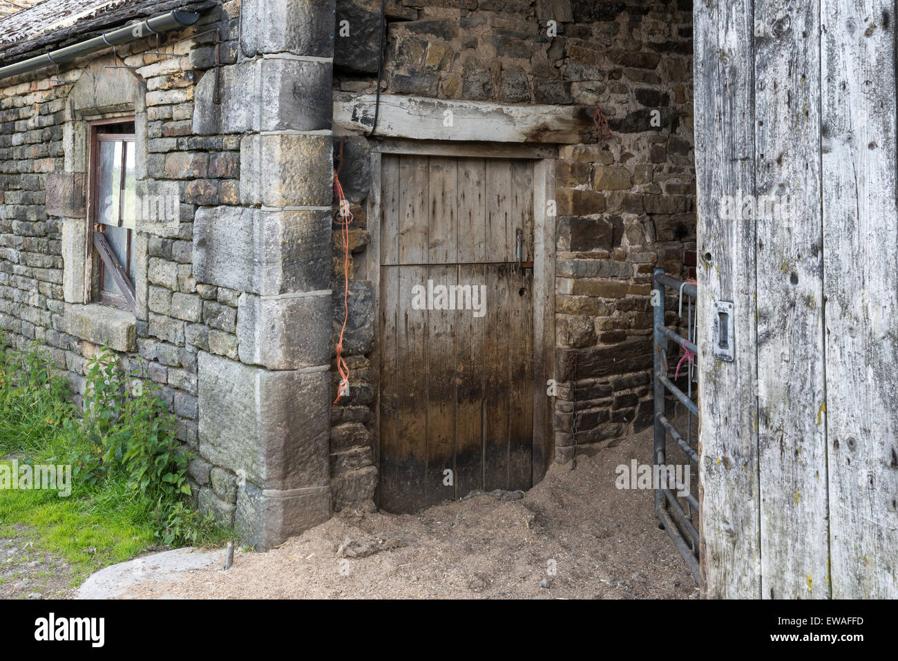 Vieux bâtiments de ferme dans le Nord de l'Angleterre avec murs en pierre et des portes en bois patiné. Banque D'Images