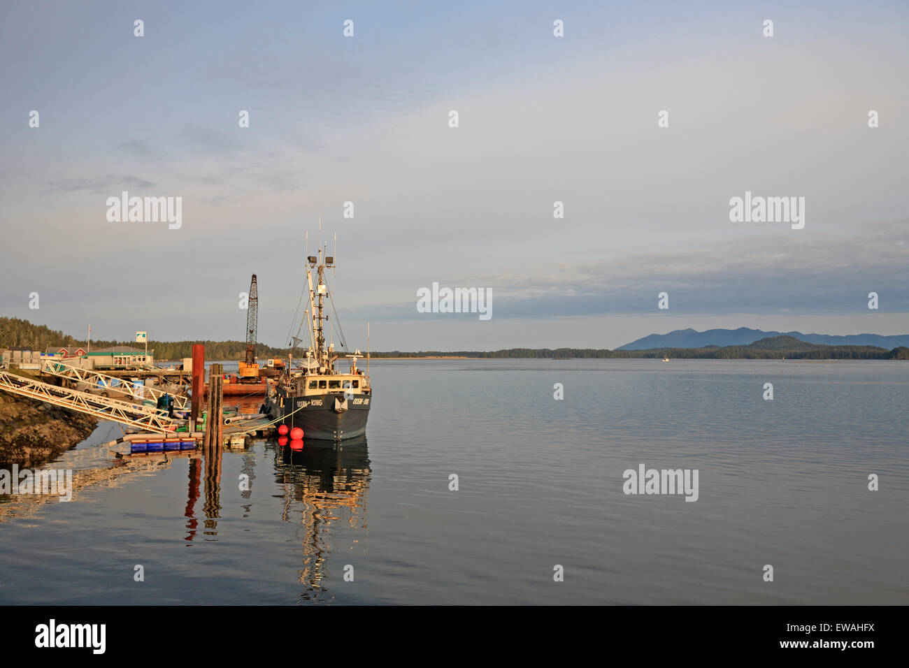 Bateaux de pêche commerciale liée à quai, Tofino, Vancouver Island, British Columbia Banque D'Images