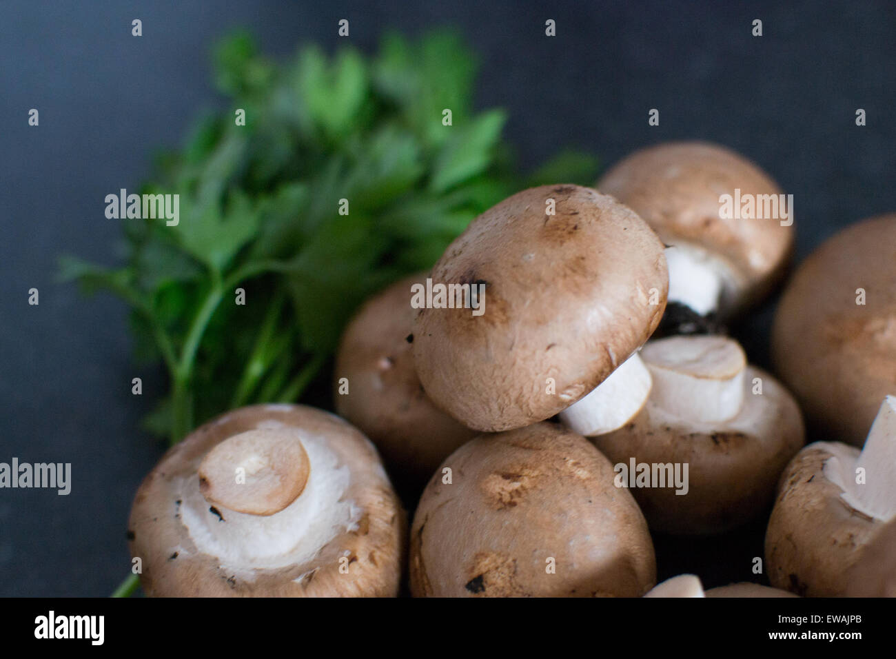 Les champignons et le persil sur un plan de travail de cuisine. Banque D'Images