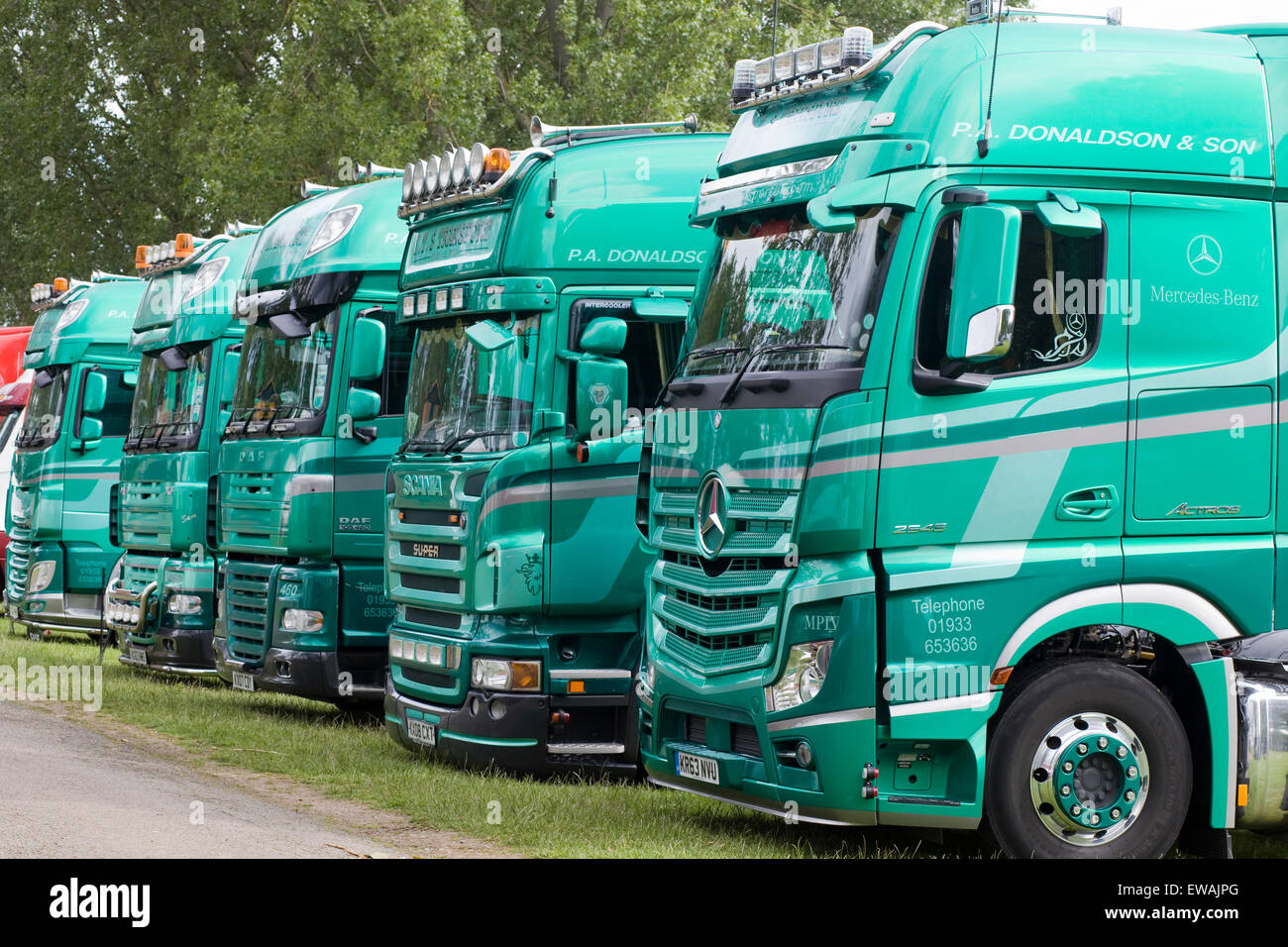 Camions vert garés côte à côte sur une verge d'herbe Banque D'Images Camions vert garés côte à côte sur une verge d'herbe Banque D'Images