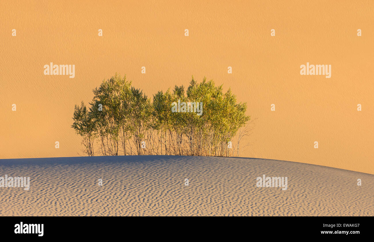 Lever du soleil dans les dunes de sable plat Mesquite dans Death Valley National Park en Californie, USA Banque D'Images