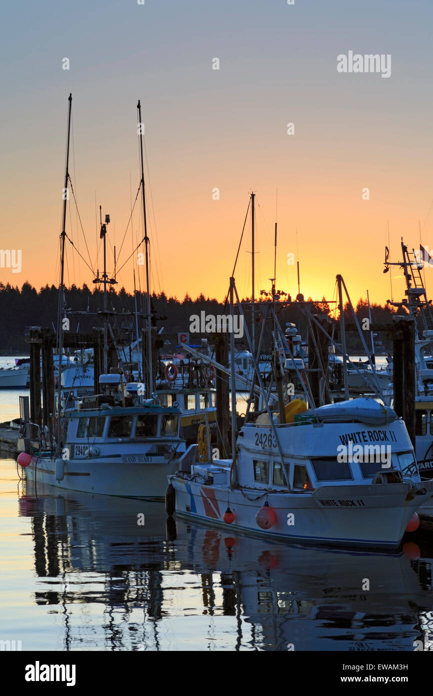 Bateaux de pêche commerciale à l'aube, le port de Nanaimo, Nanaimo, île de Vancouver, Colombie-Britannique Banque D'Images