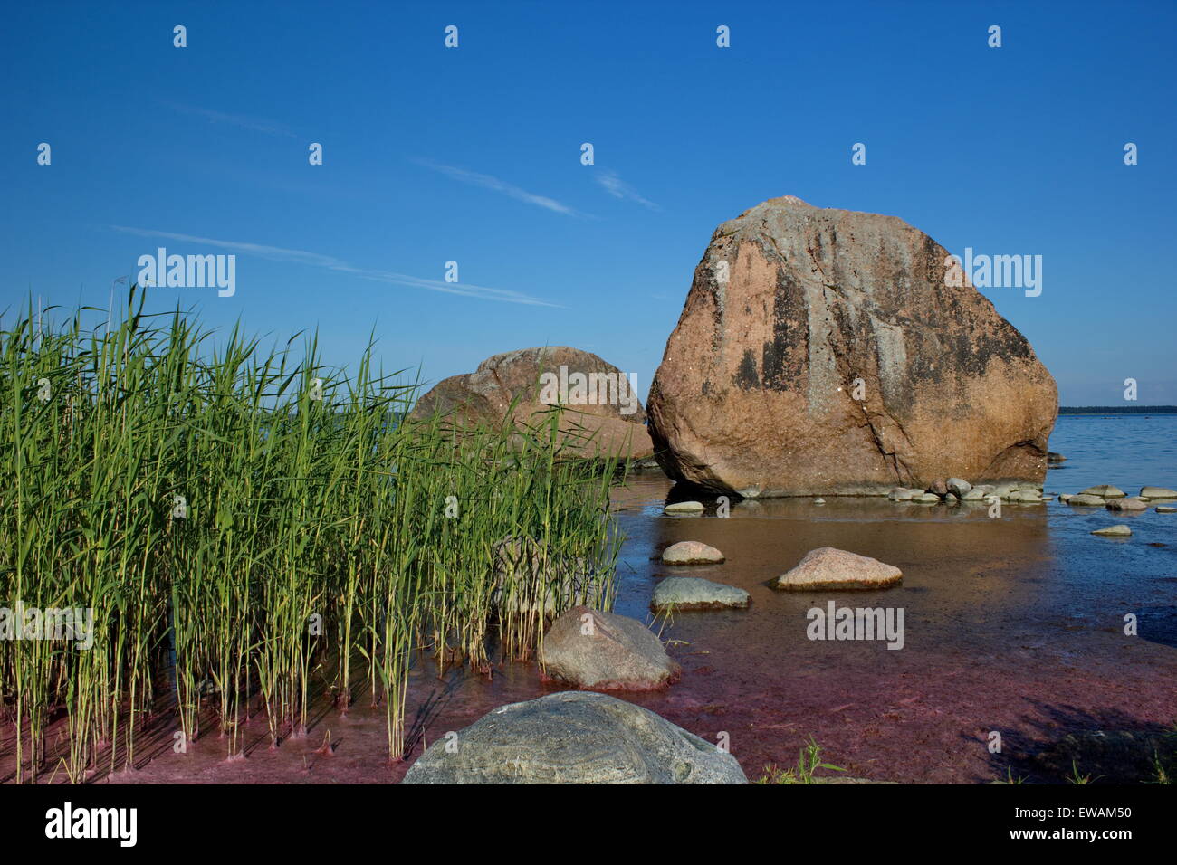 Côte de la mer Baltique, l'Estonie, le parc national de Lahemaa Banque D'Images