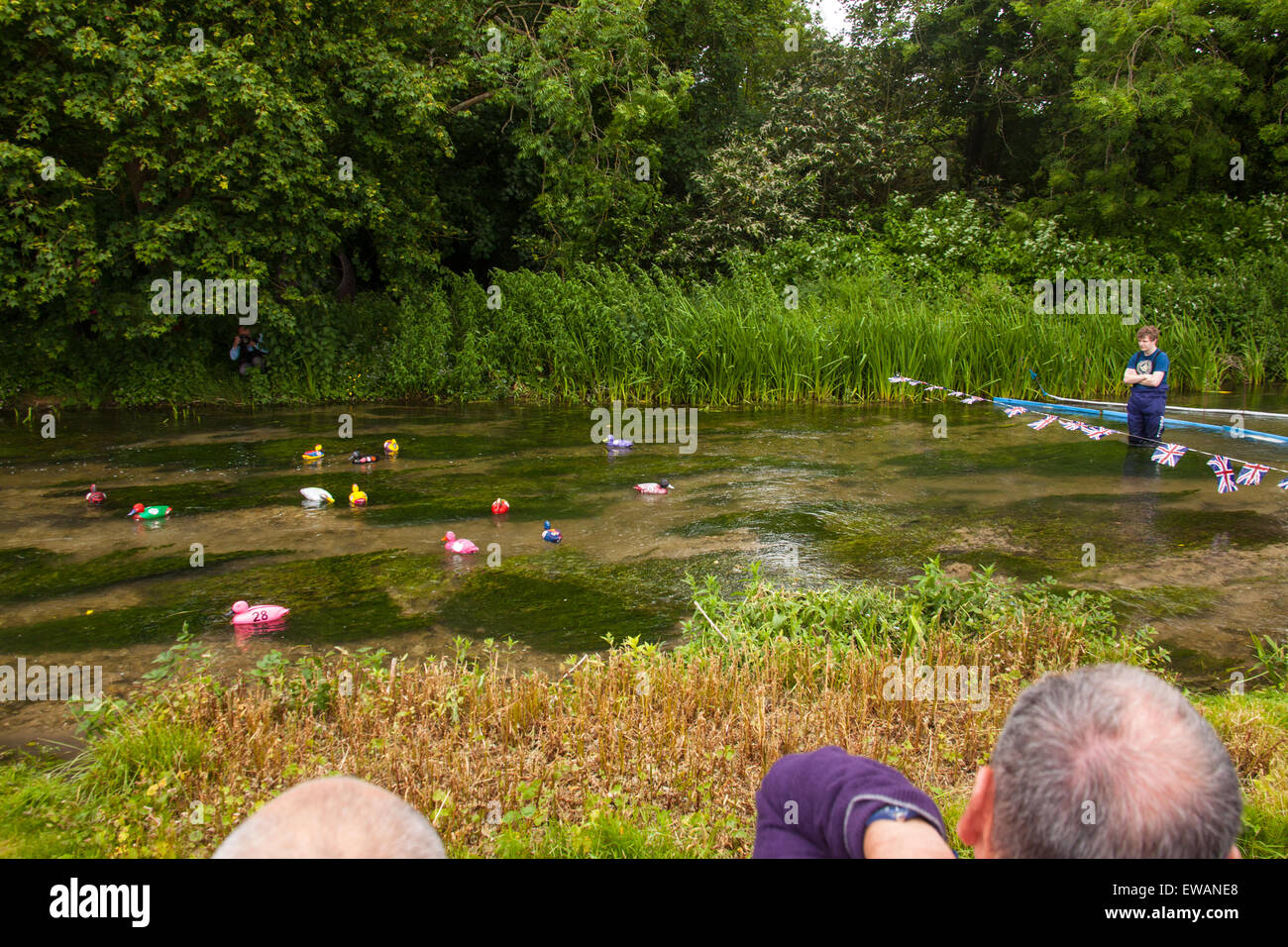 La course de canards à Weir House, Alresford, Hampshire, Angleterre. Banque D'Images