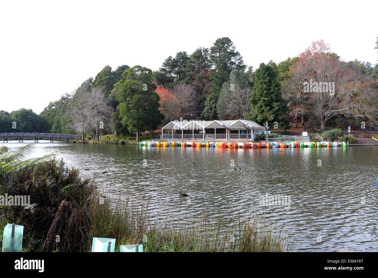 Le lac Emerald Park Victoria Australie Banque D'Images