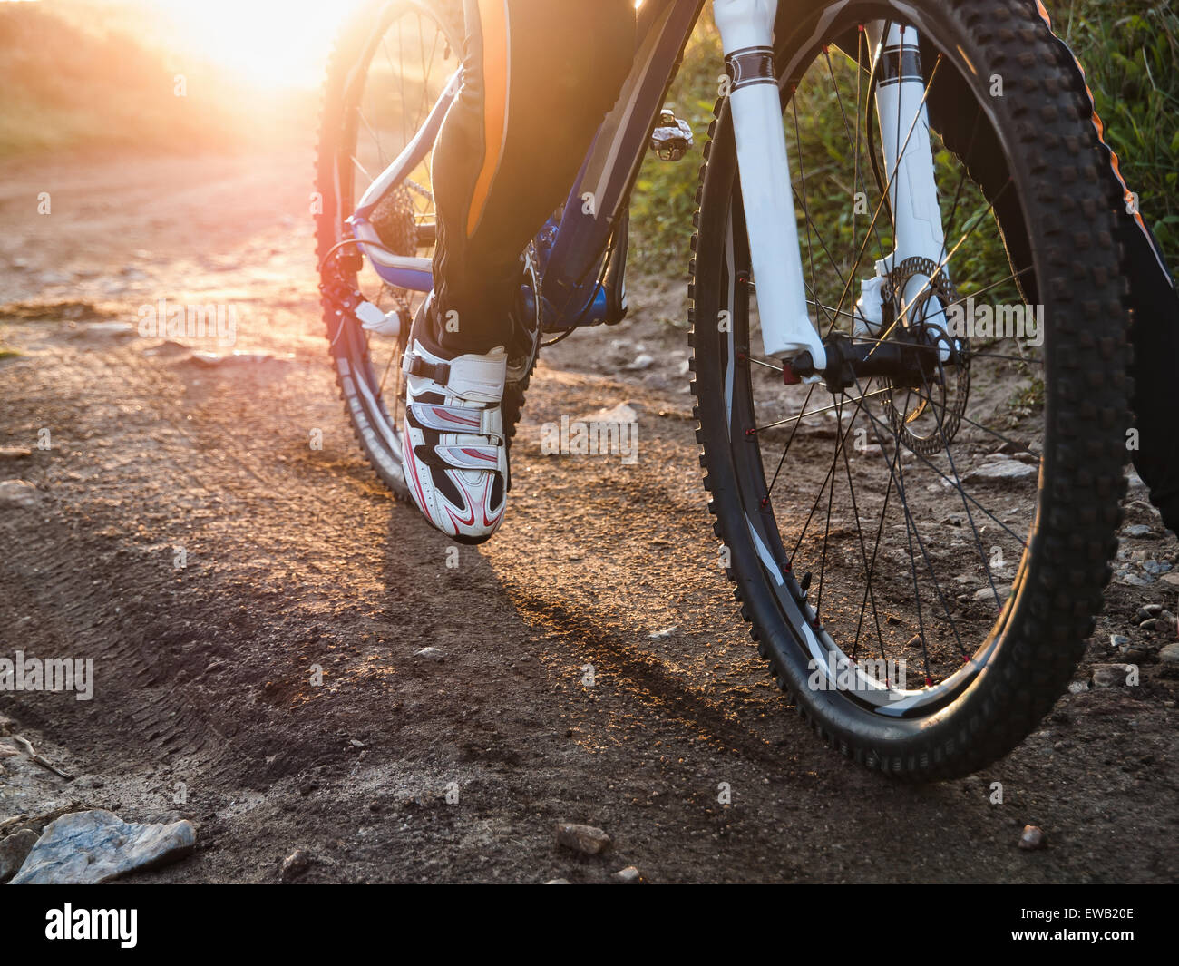 Location VTT roue détail dans une journée ensoleillée Banque D'Images
