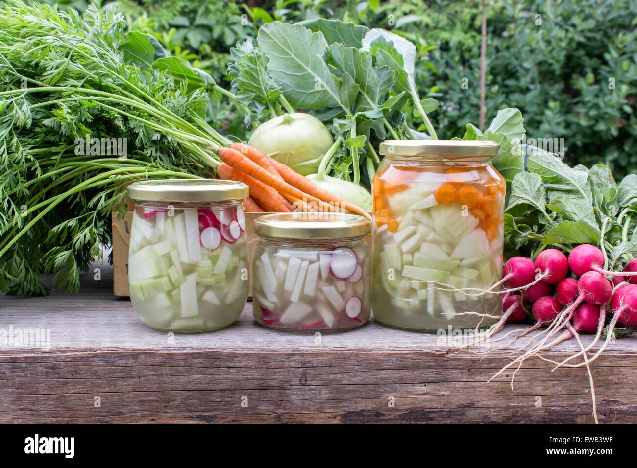Lunettes avec de l'acide lactique légumes marinés, des navets, carottes et radis Banque D'Images