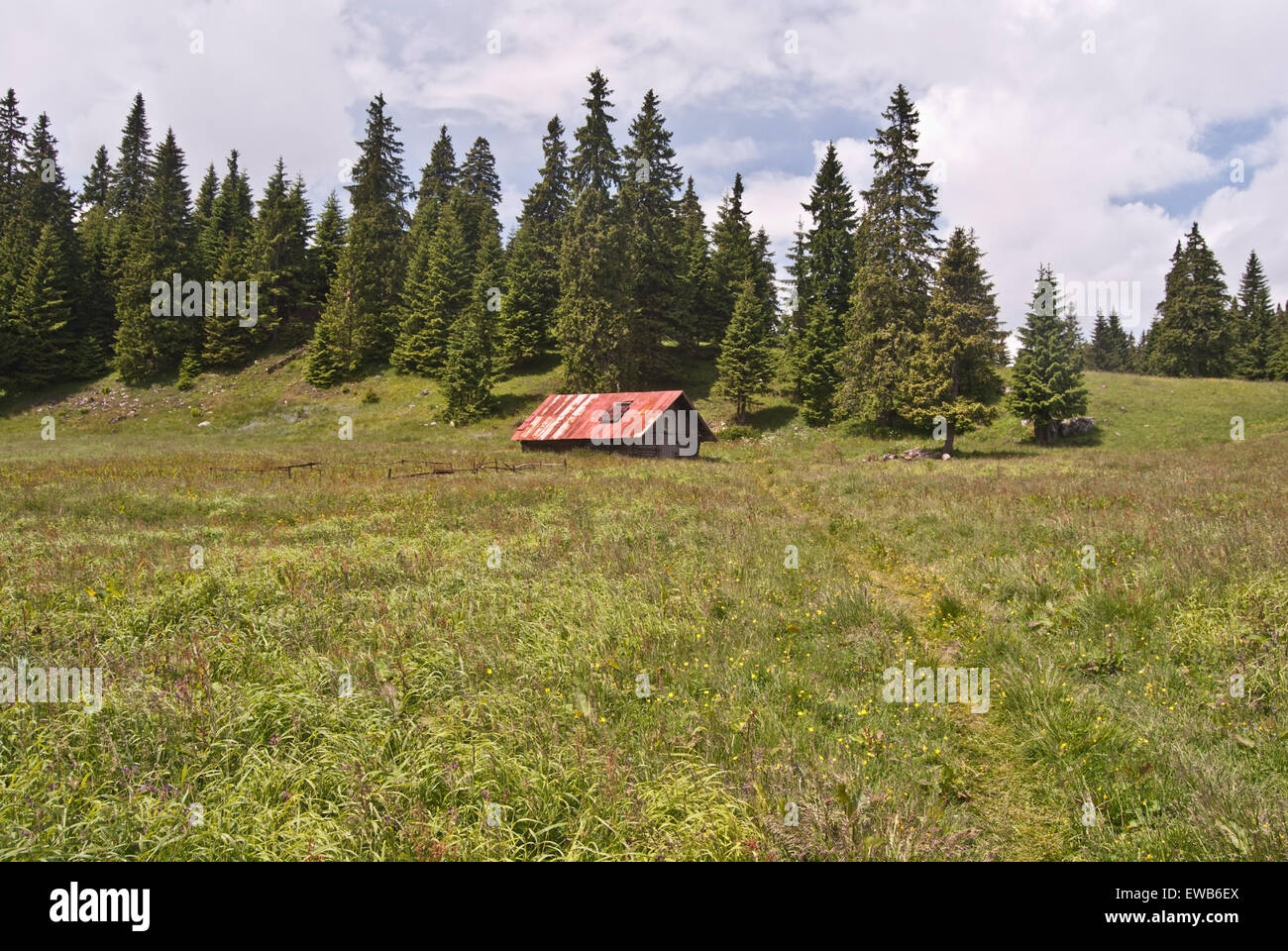 Cabane en bois sur Stredna polana mountain meadow des cheminements et des arbres sur l'arrière-plan ci-dessous Velky Choc hill dans Chocske vrchy montagnes en Slovaquie Banque D'Images