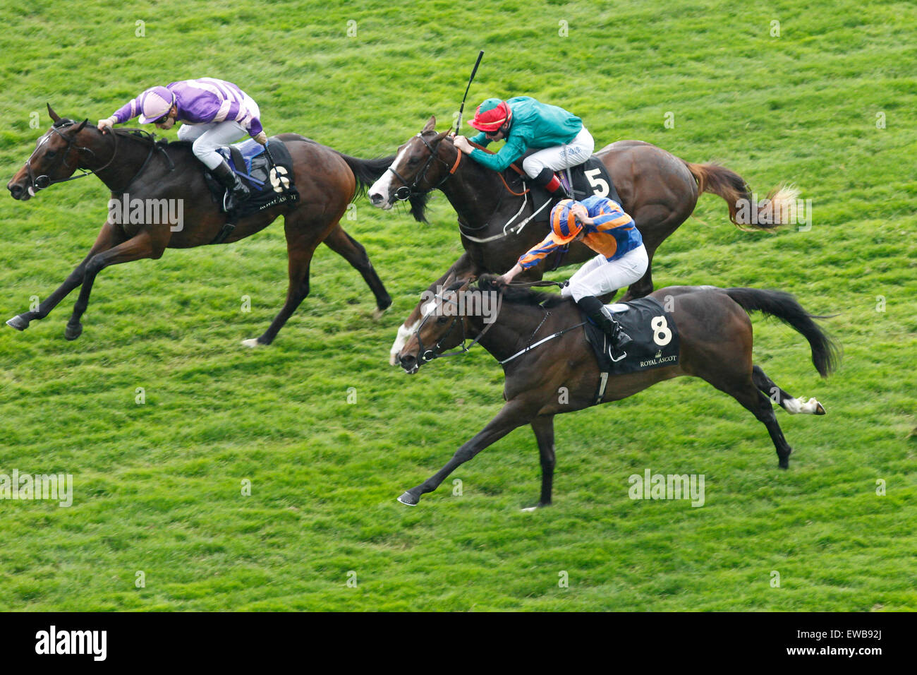 20.06.2015 - Ascot vous convient ; montée par Christian Demuro (n°6) remporte la course de Chesham Stakes (liste). Deuxième place : Ballydoyle monté par Ryan Moore (NO8). Troisième place : sixième sens montée par Charles Bishop (NO5). Credit : Lajos-Eric turfstock.com/Balogh Banque D'Images