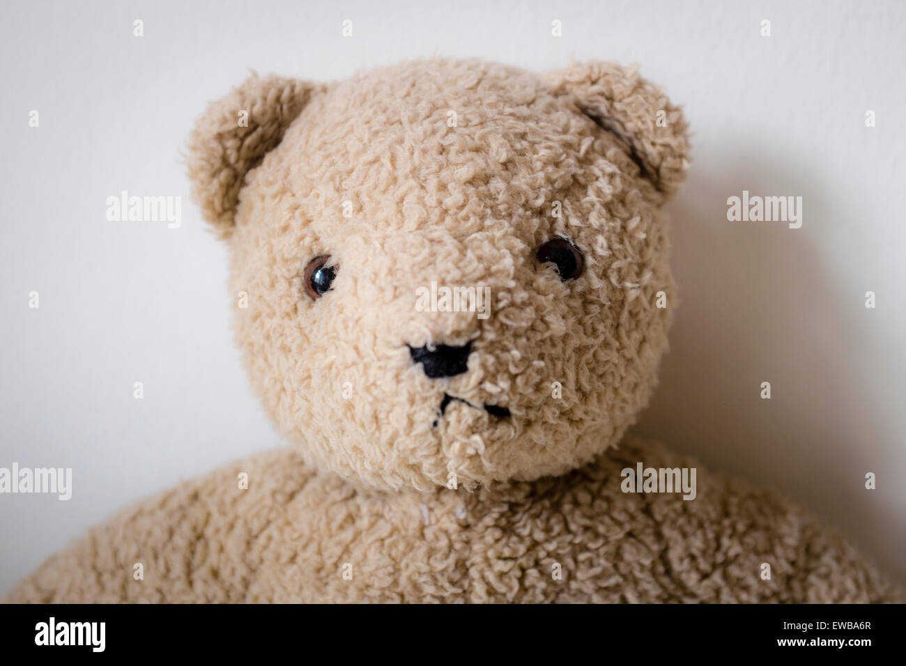 Ours en peluche Banque D'Images