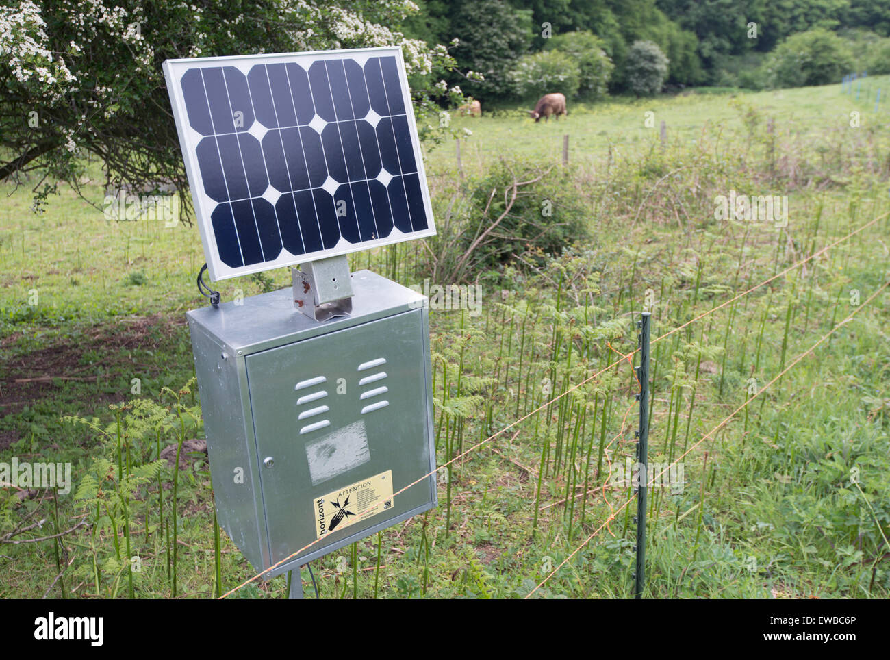 Clôture électrique à énergie solaire, réserve naturelle vers le bas de la porte du Parc, Kent, Angleterre Banque D'Images