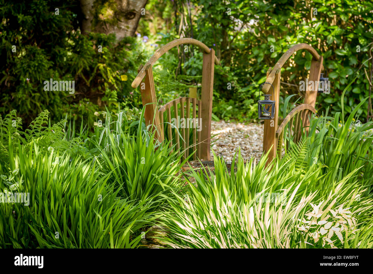 Pont de jardin en bois avec un écrin de verdure autour d'elle. Banque D'Images
