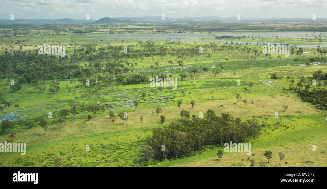 Plaine luxuriante après de fortes pluies, Rockhampton, Queensland, Australie Banque D'Images