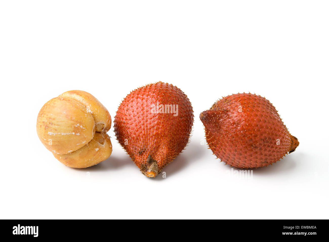 Salacca fruits sur fond blanc Banque D'Images